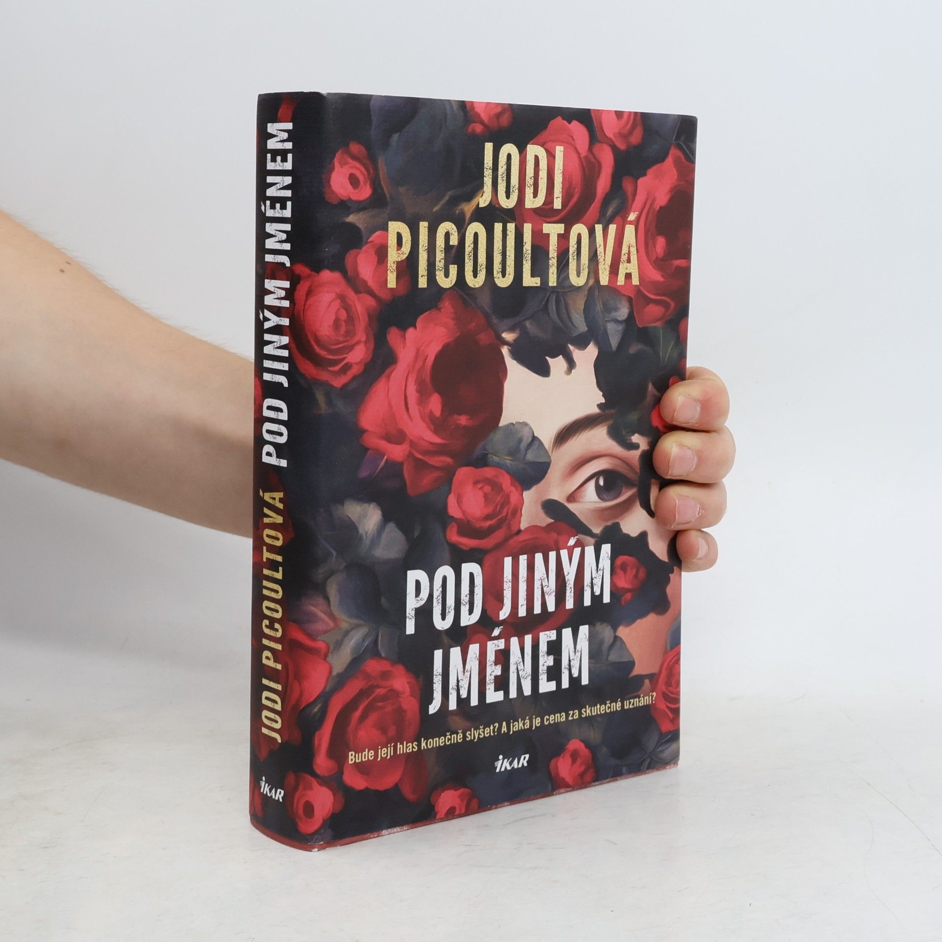 Jodi Picoult Pod jiným jménem