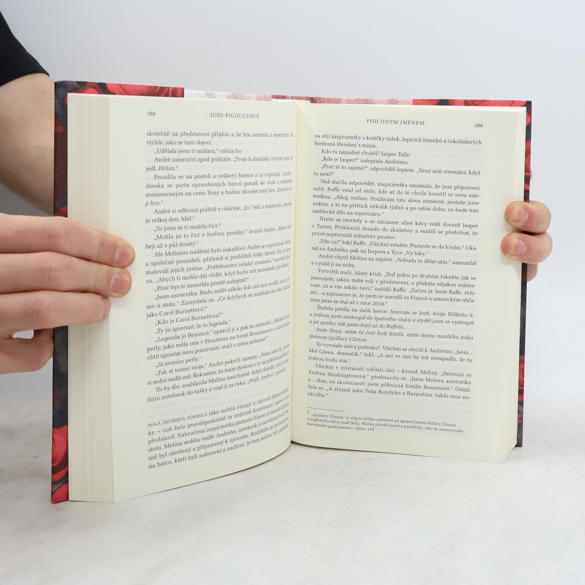 Jodi Picoult Pod jiným jménem