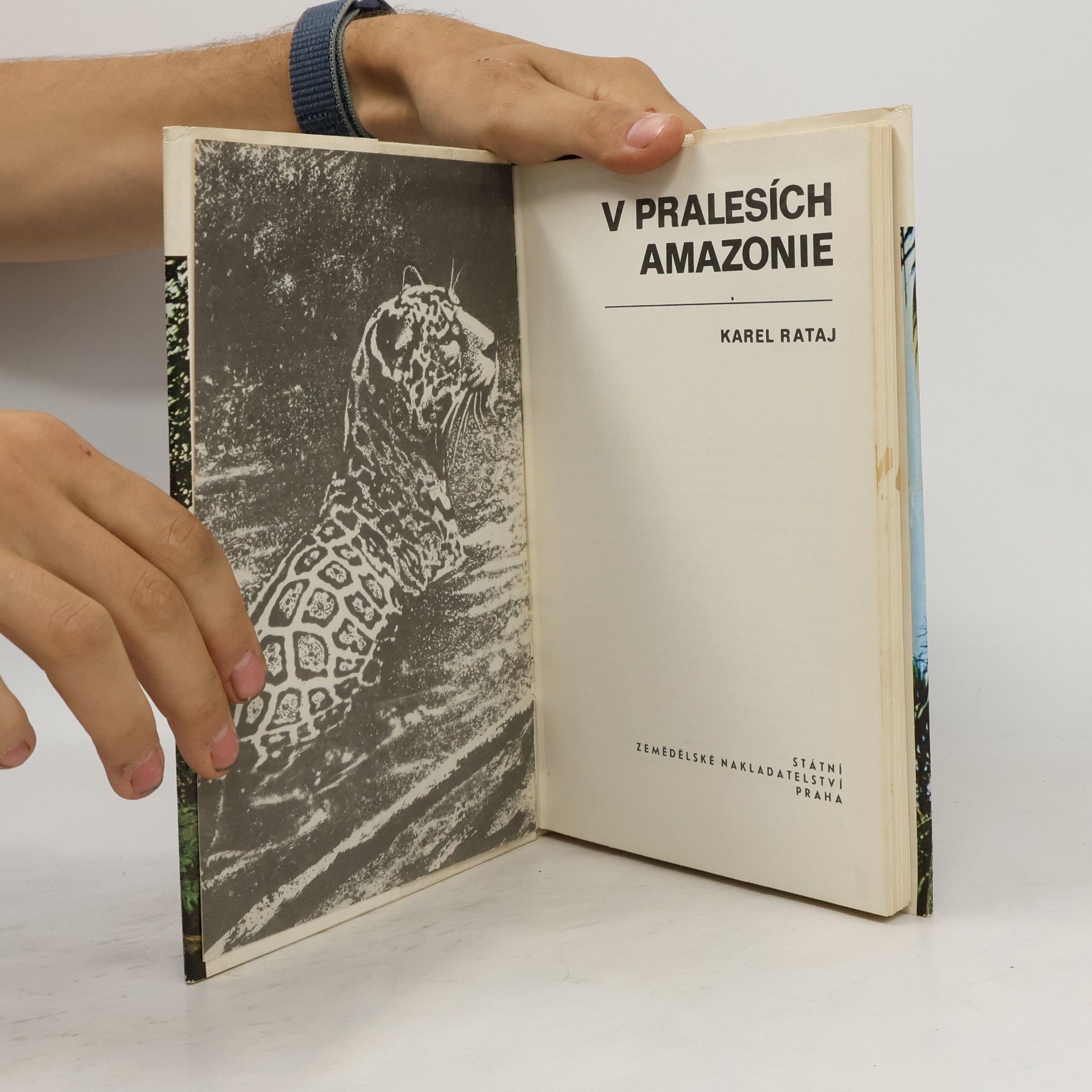 Karel Rataj V pralesích Amazonie