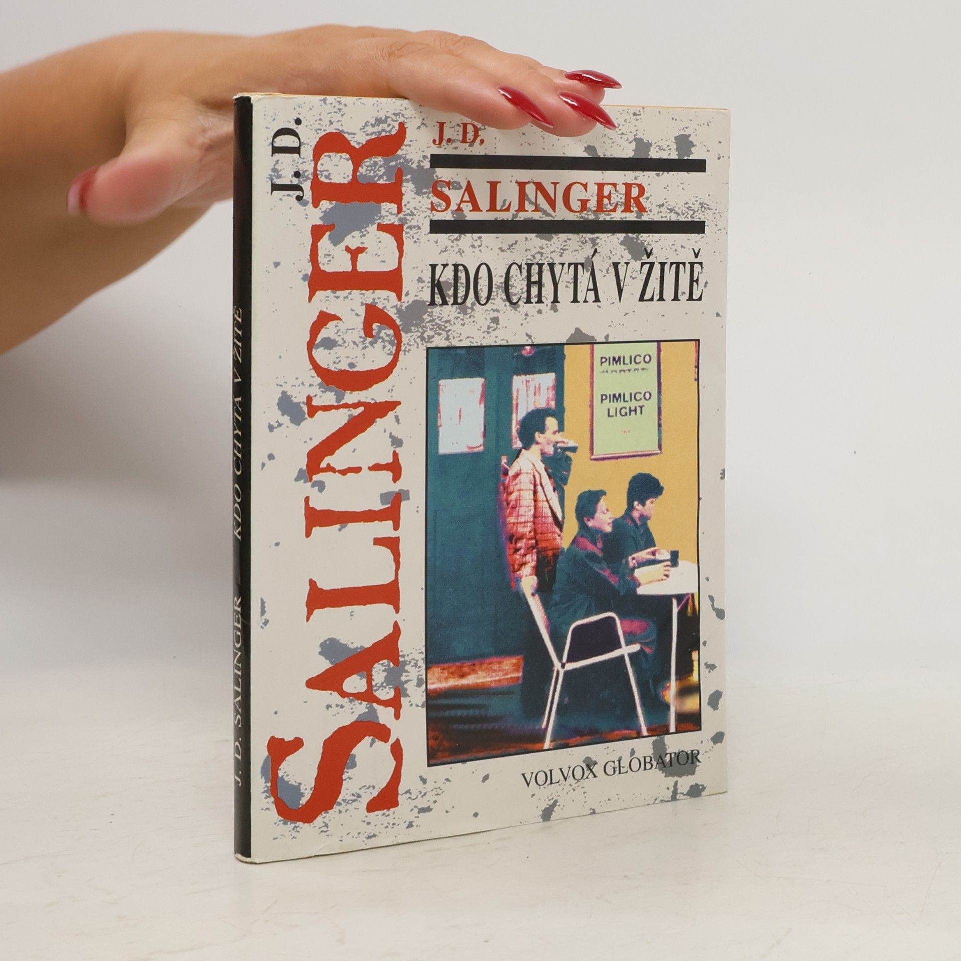 J. D. Salinger Kdo chytá v žitě