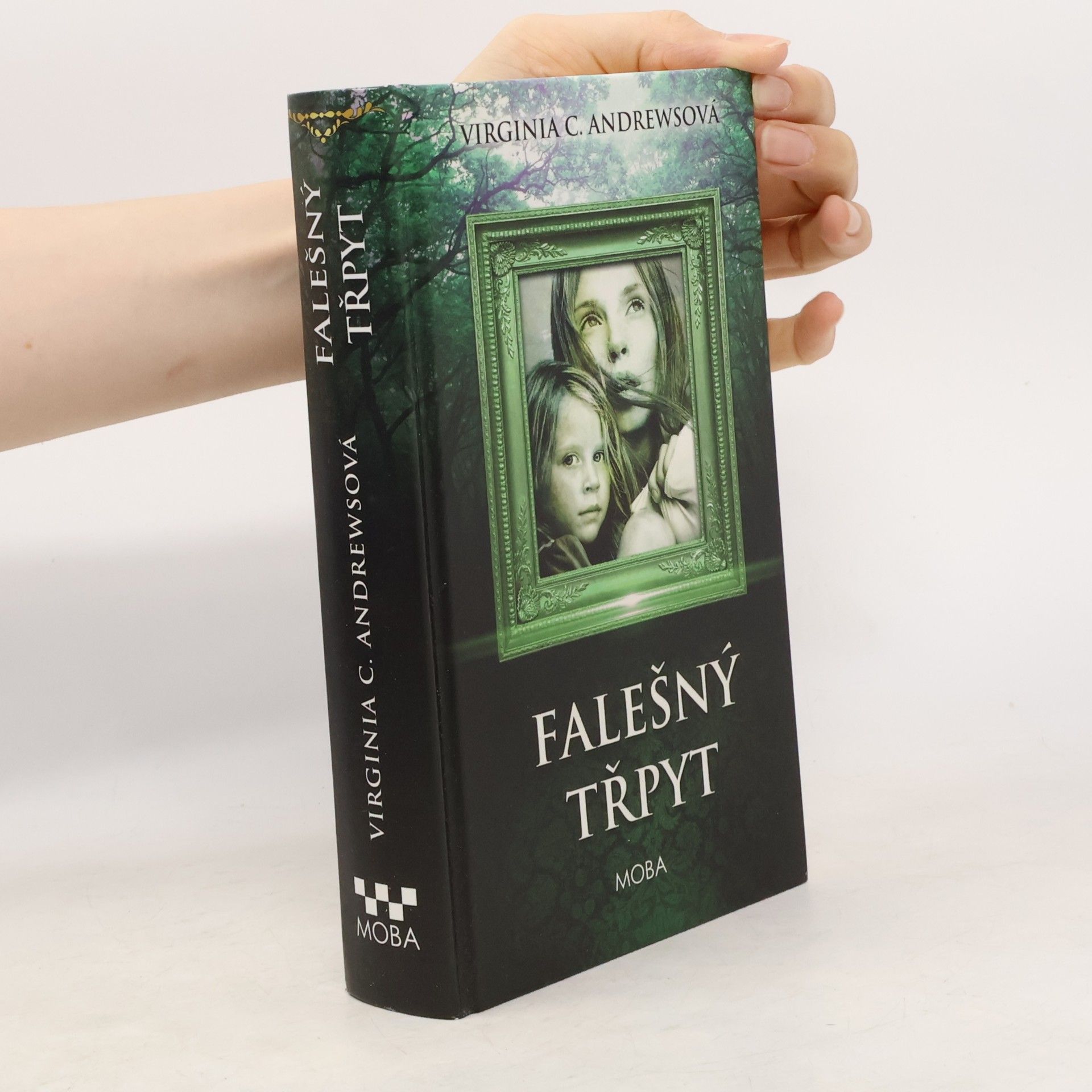 Virginia C. Andrewsová Falešný třpyt