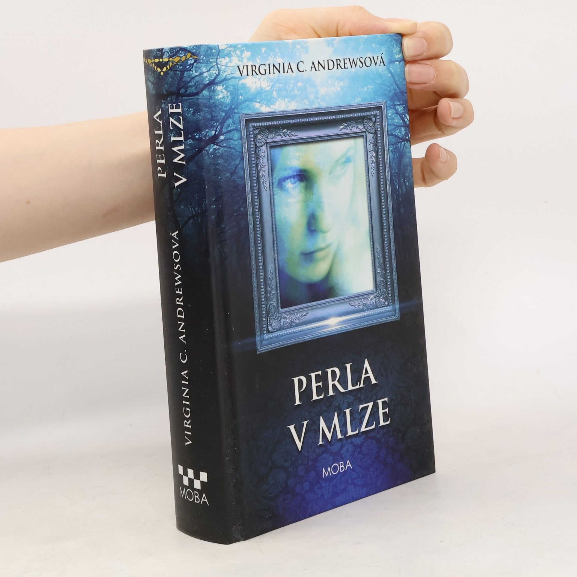 V. C. Andrews Perla v mlze