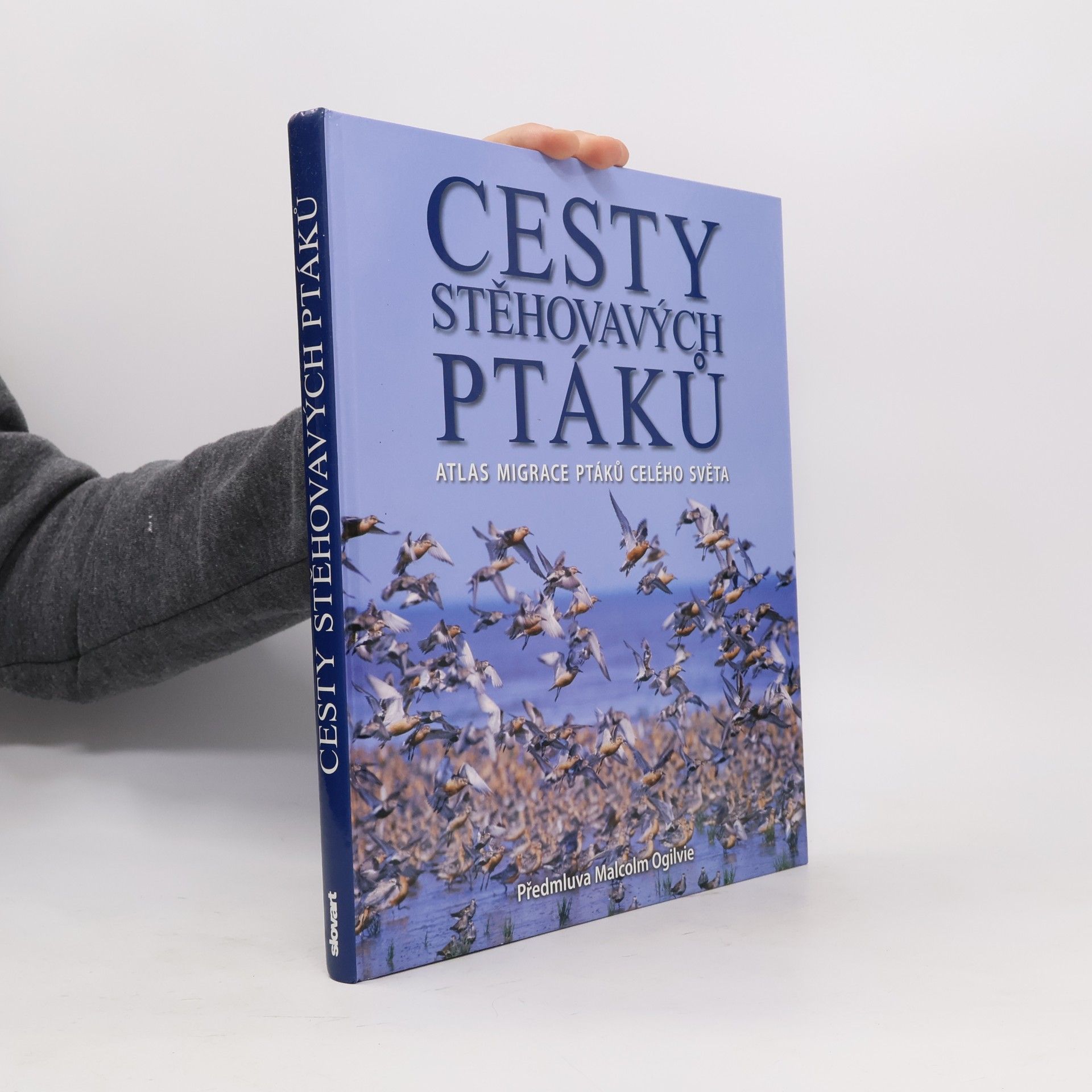 Cesty stěhovavých ptáků