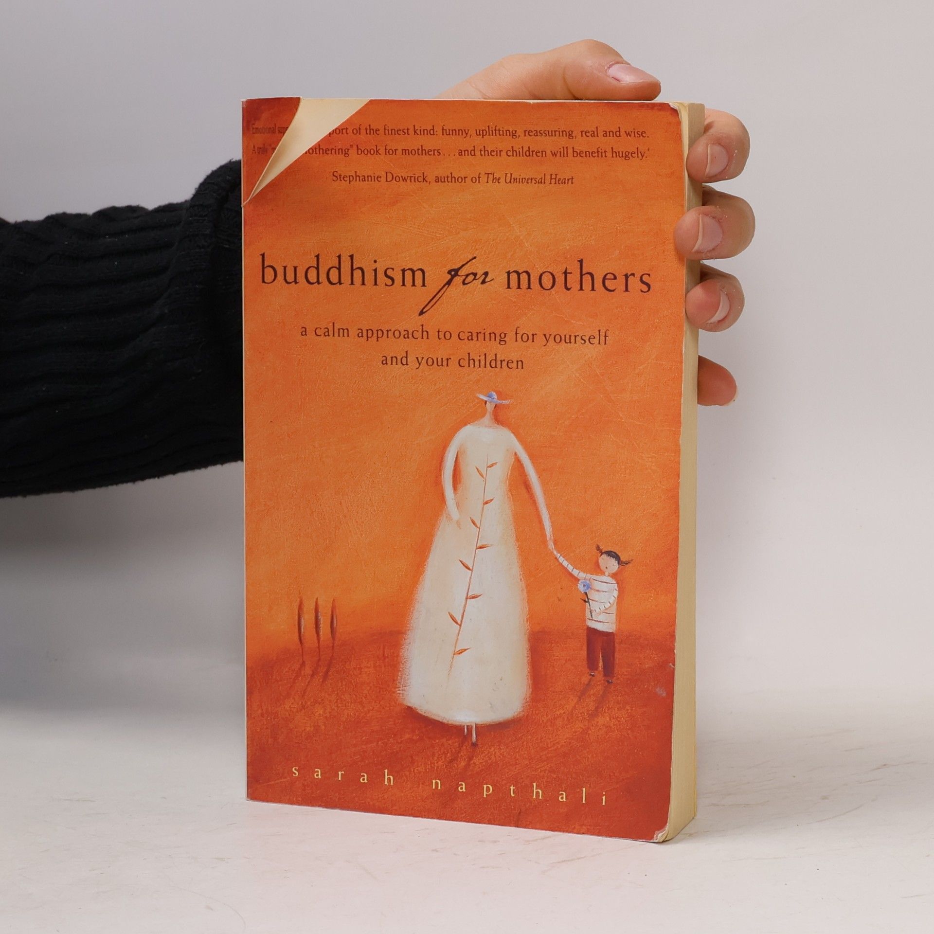 Sarah Napthali Buddhism for Mothers