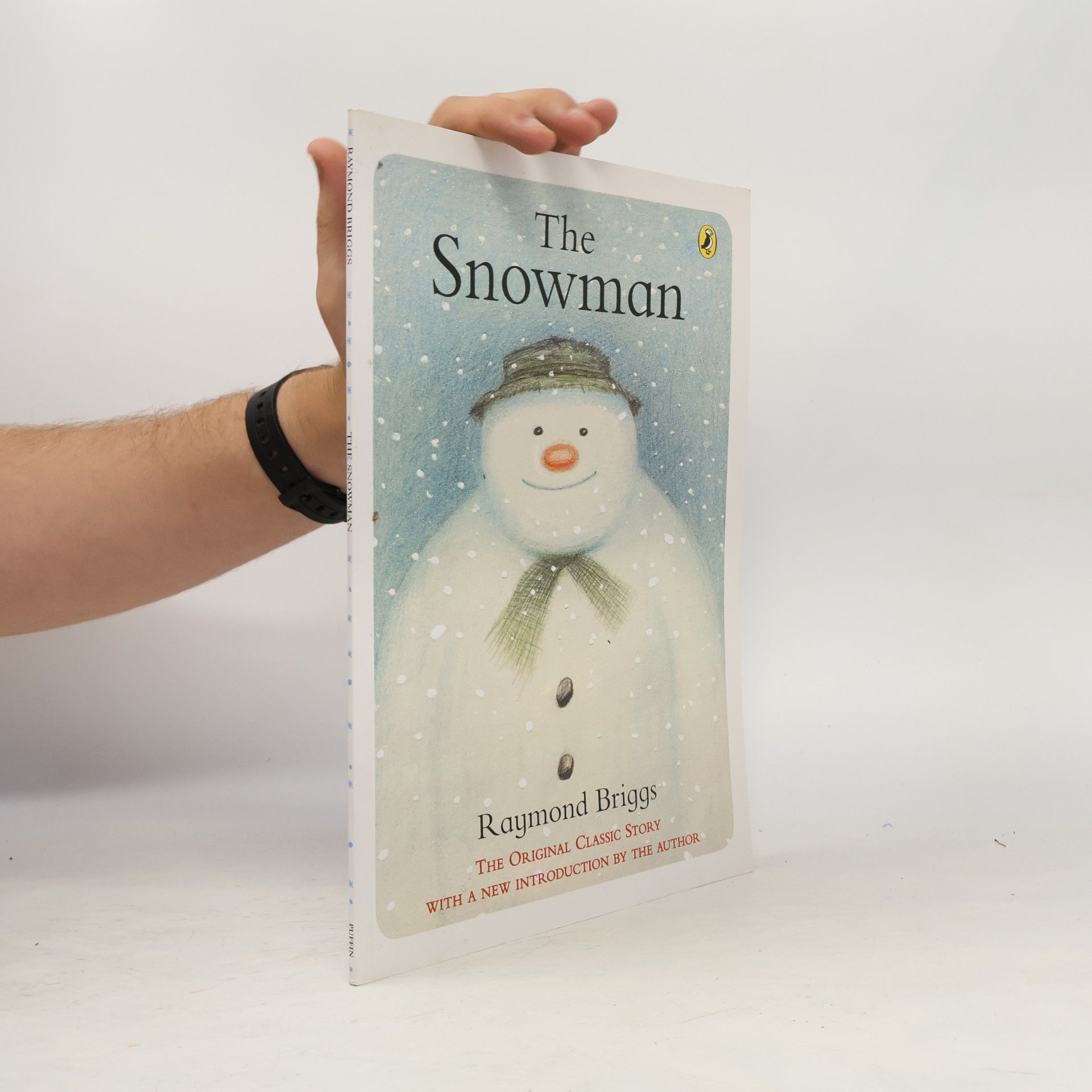 Briggs Raymond The Snowman
