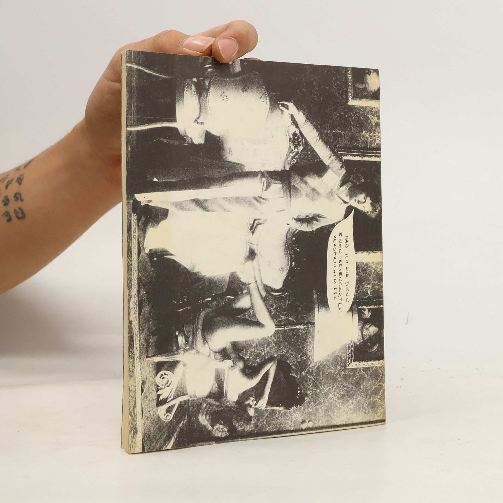 kolektiv Frischfleisch & Löwenmaul. Taschenbuch 2
