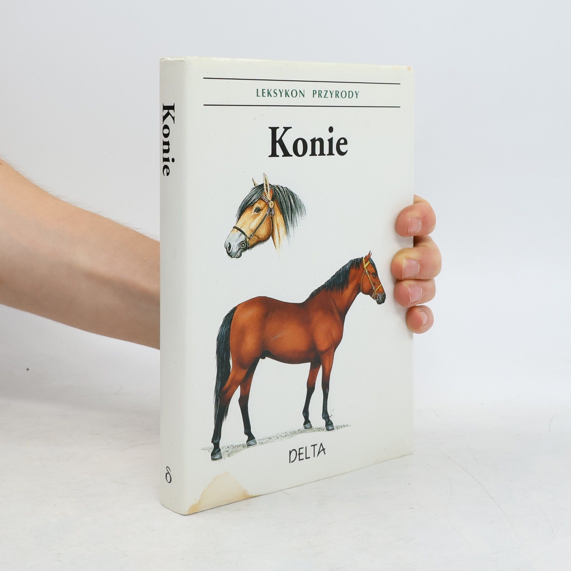 Various authors Konie Leksykon Przyrody