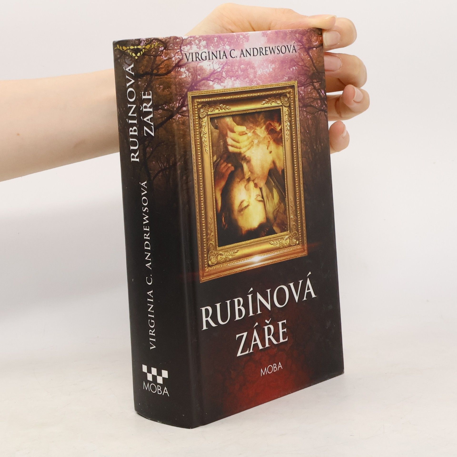 Virginia C. Andrewsová Rubínová záře