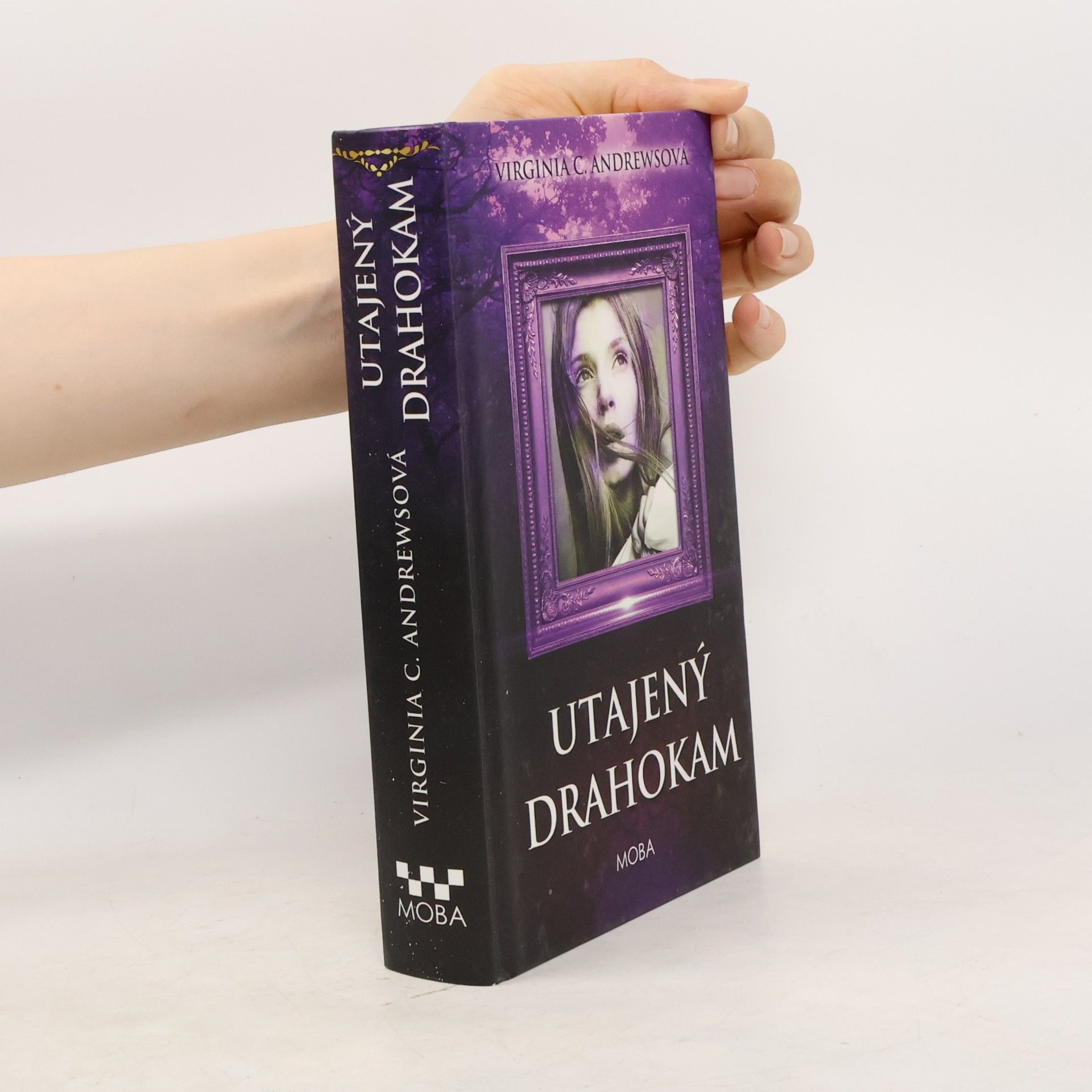 Virginia C. Andrewsová Utajený drahokam