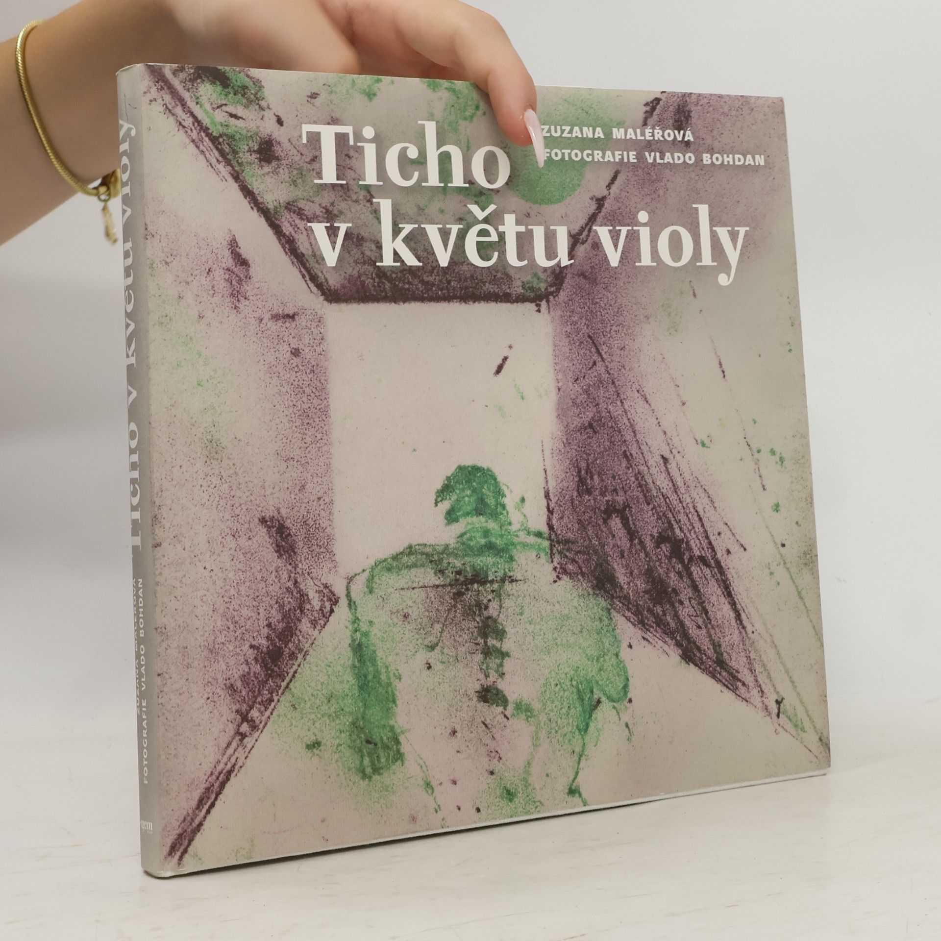 Ticho v květu violy