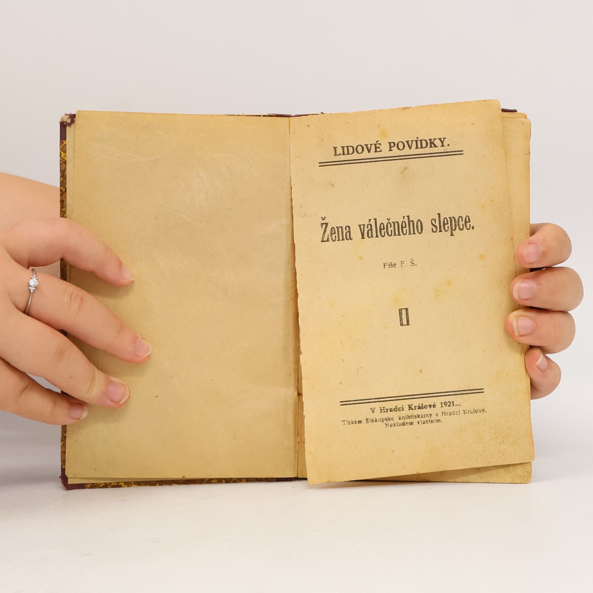 František Šupka Žena válečného slepce