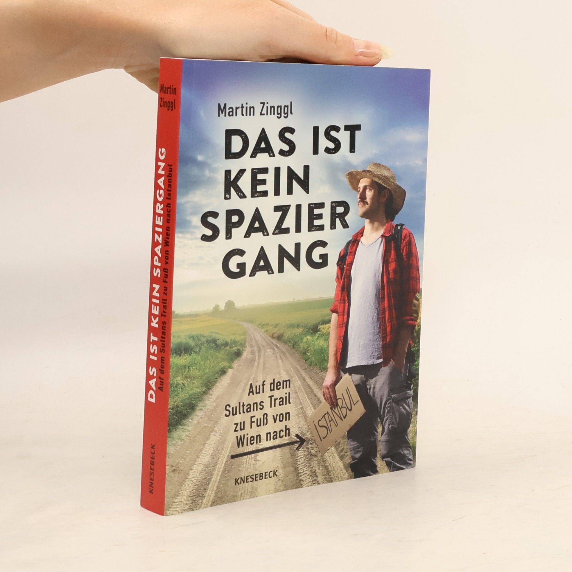 Martin Zinggl Das ist kein Spaziergang