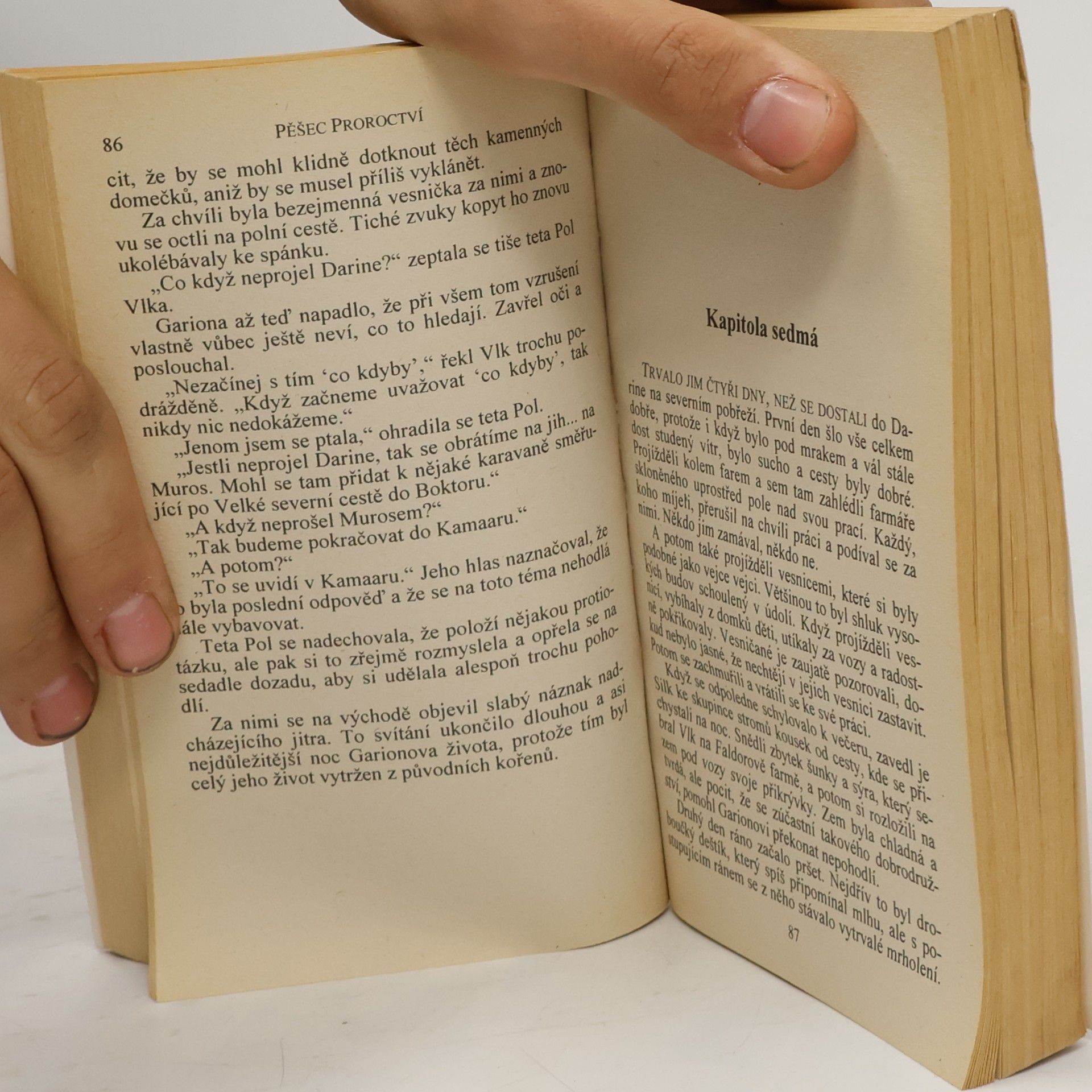 David Eddings Pěšec proroctví. První kniha Belgariad