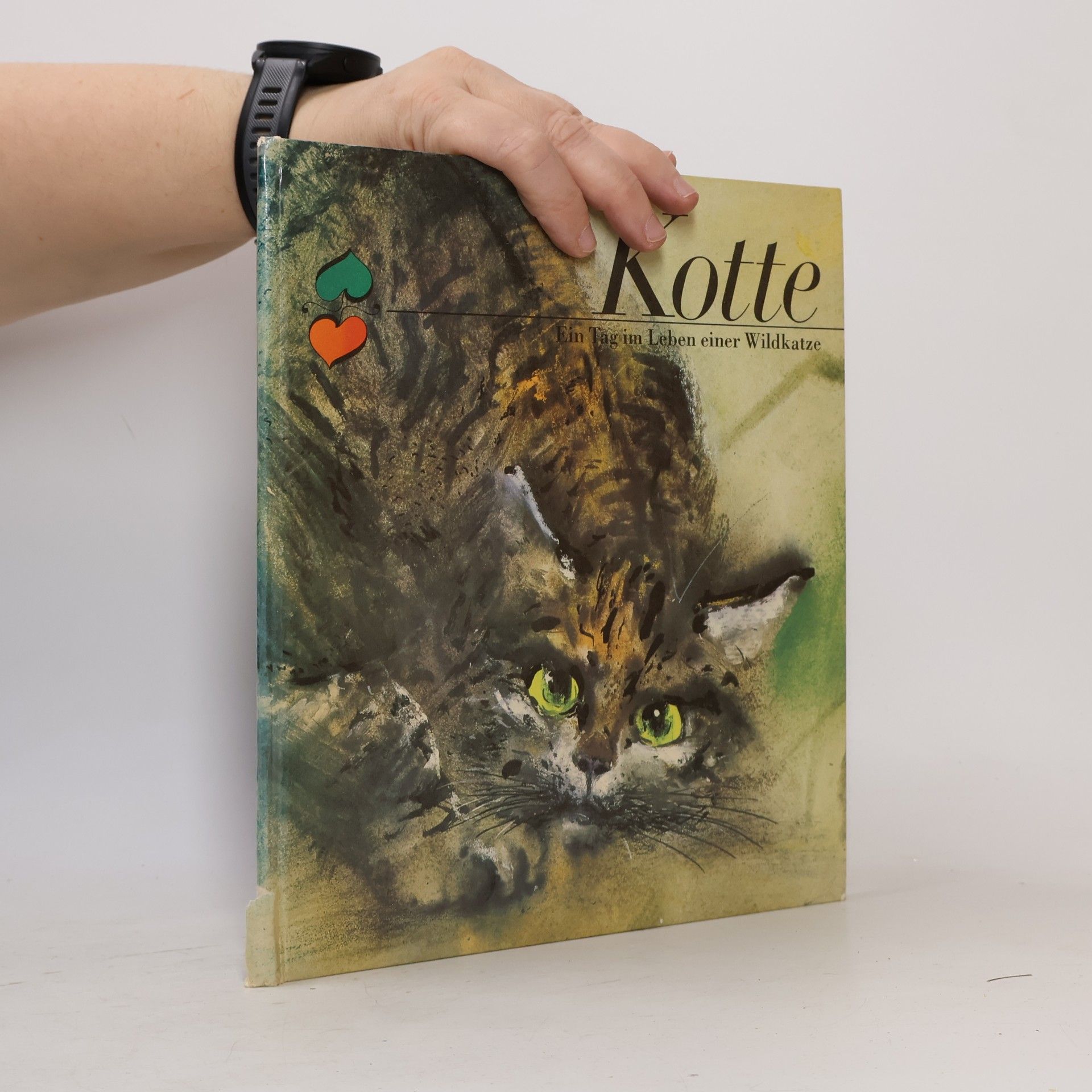 Collectif d'auteurs Kotte. Ein Tag im Leben einer Wildkatze