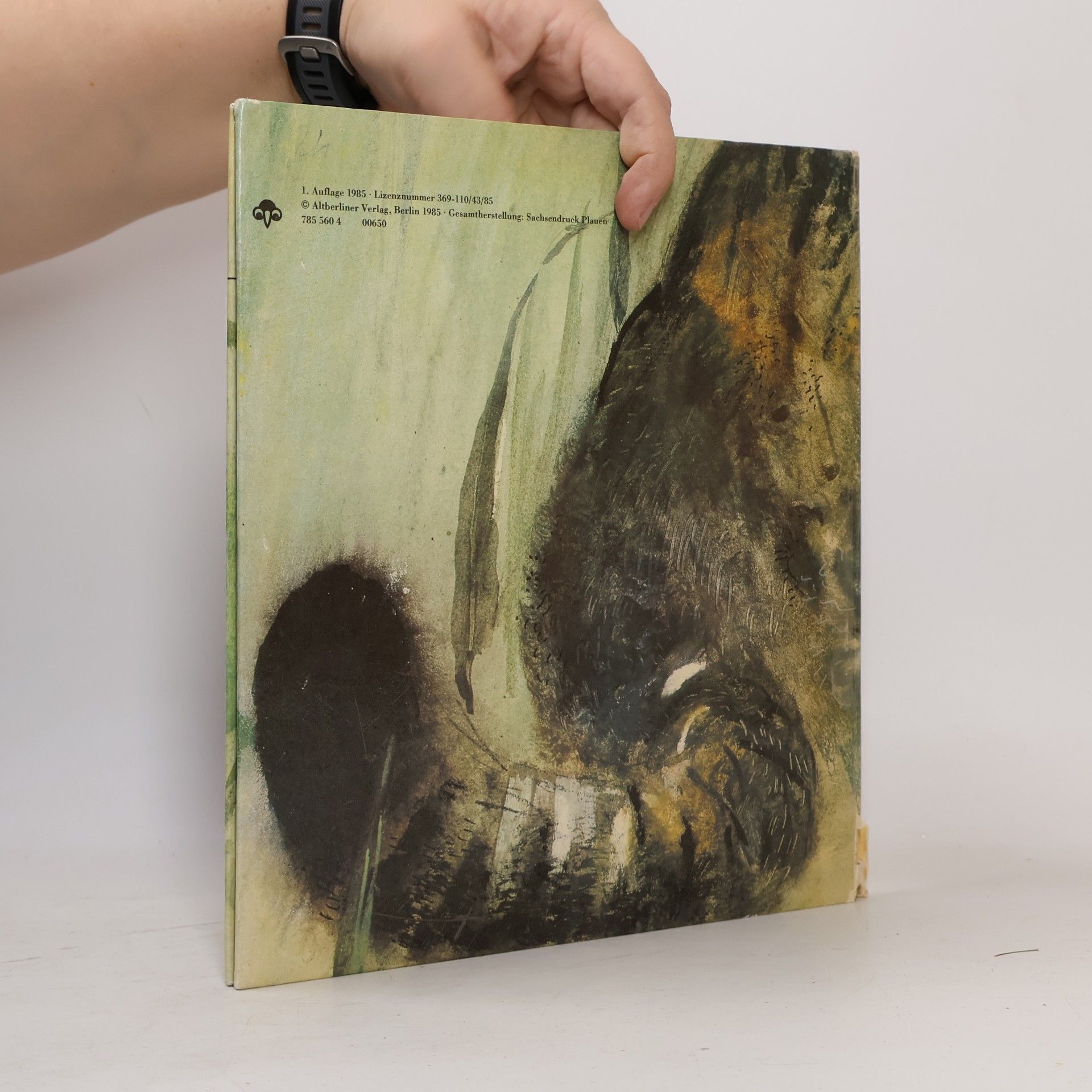 Collectif d'auteurs Kotte. Ein Tag im Leben einer Wildkatze