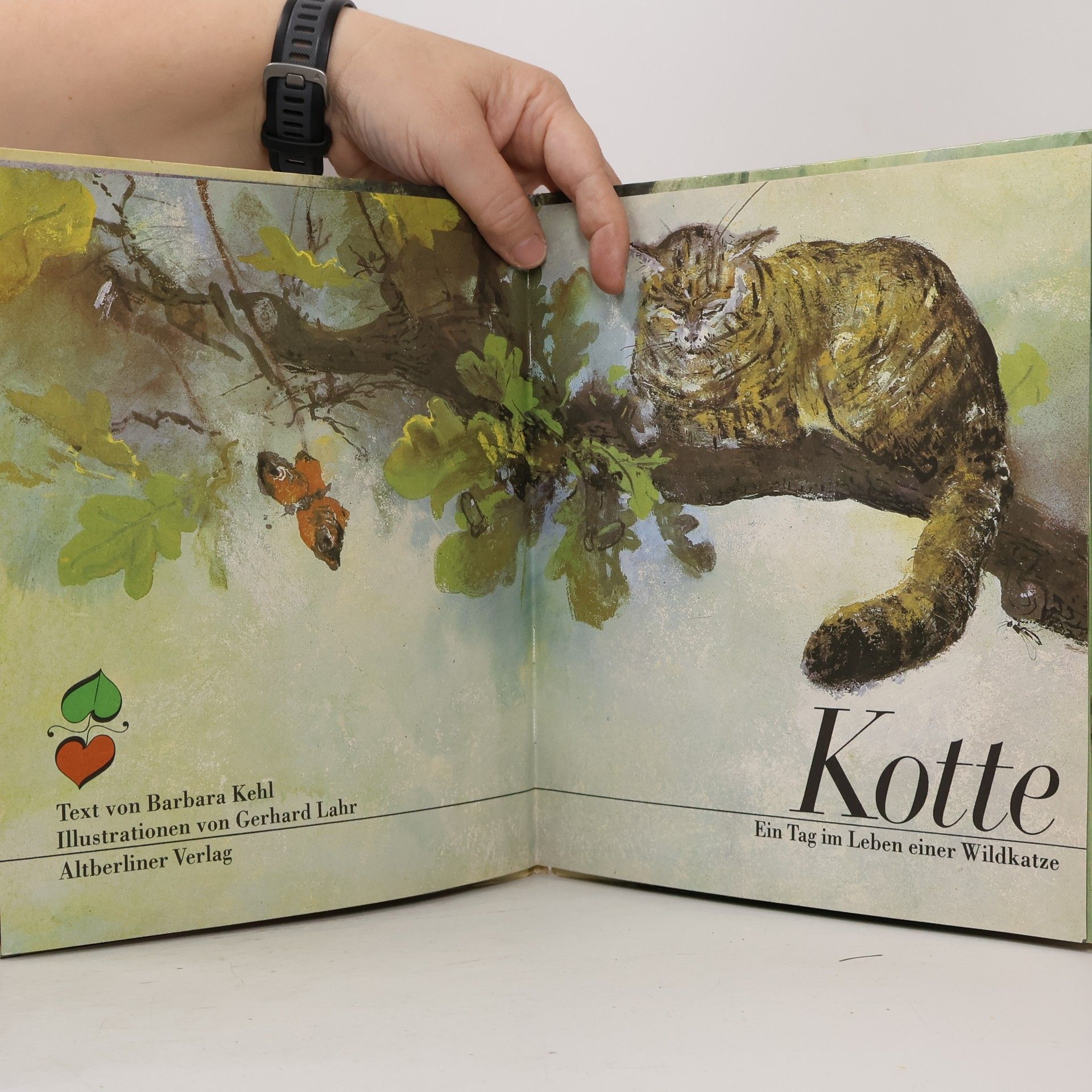 Collectif d'auteurs Kotte. Ein Tag im Leben einer Wildkatze