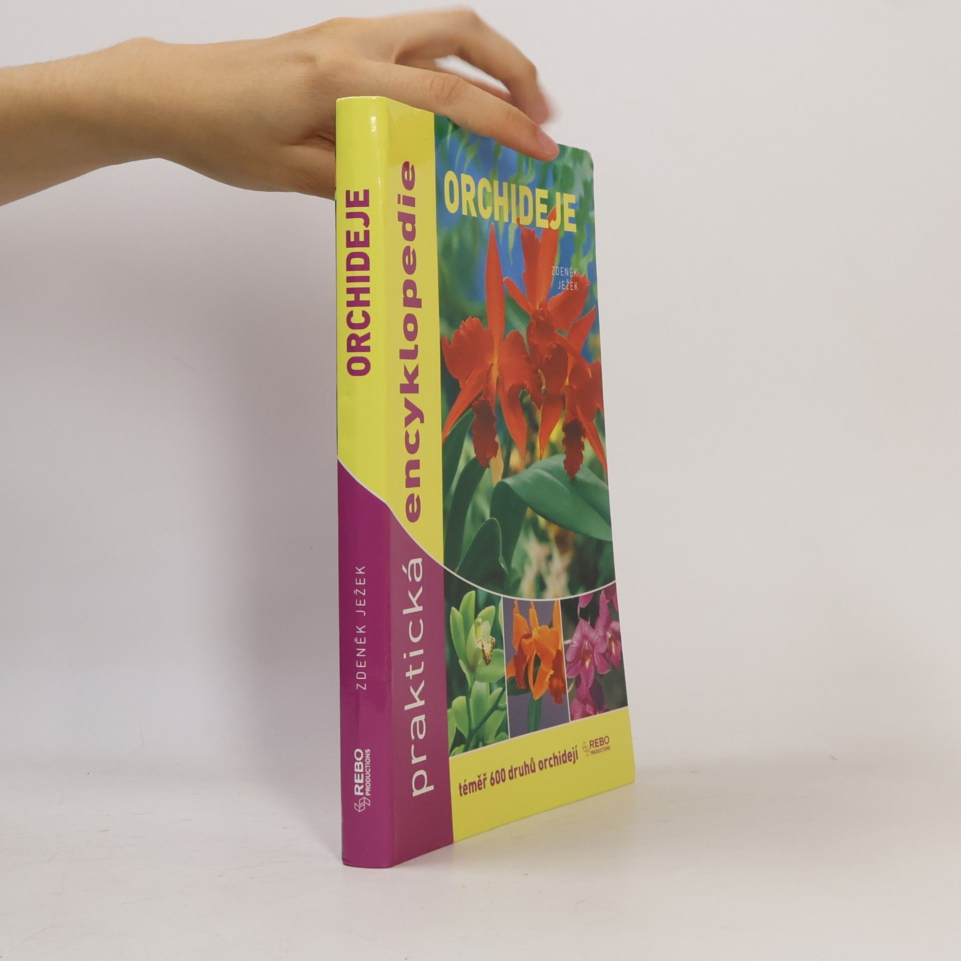 Orchideje - Praktická encyklopedie