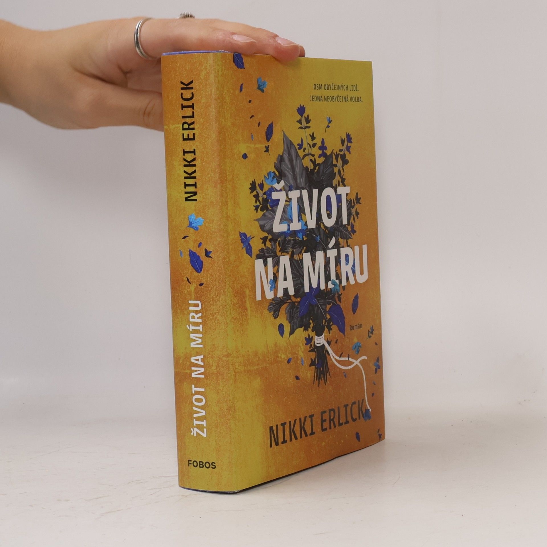 Nikki Erlick Život na míru