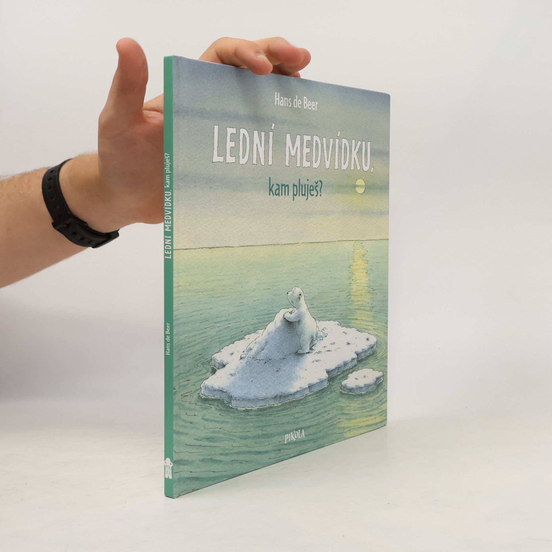 Hans de Beer Lední medvídku, kam pluješ?