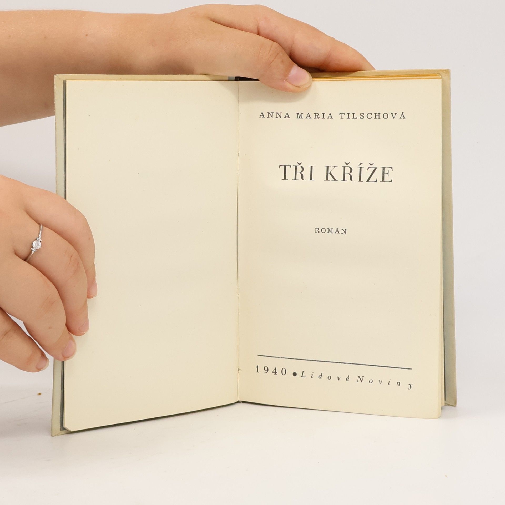 Anna Maria Tilschova Tři kříže