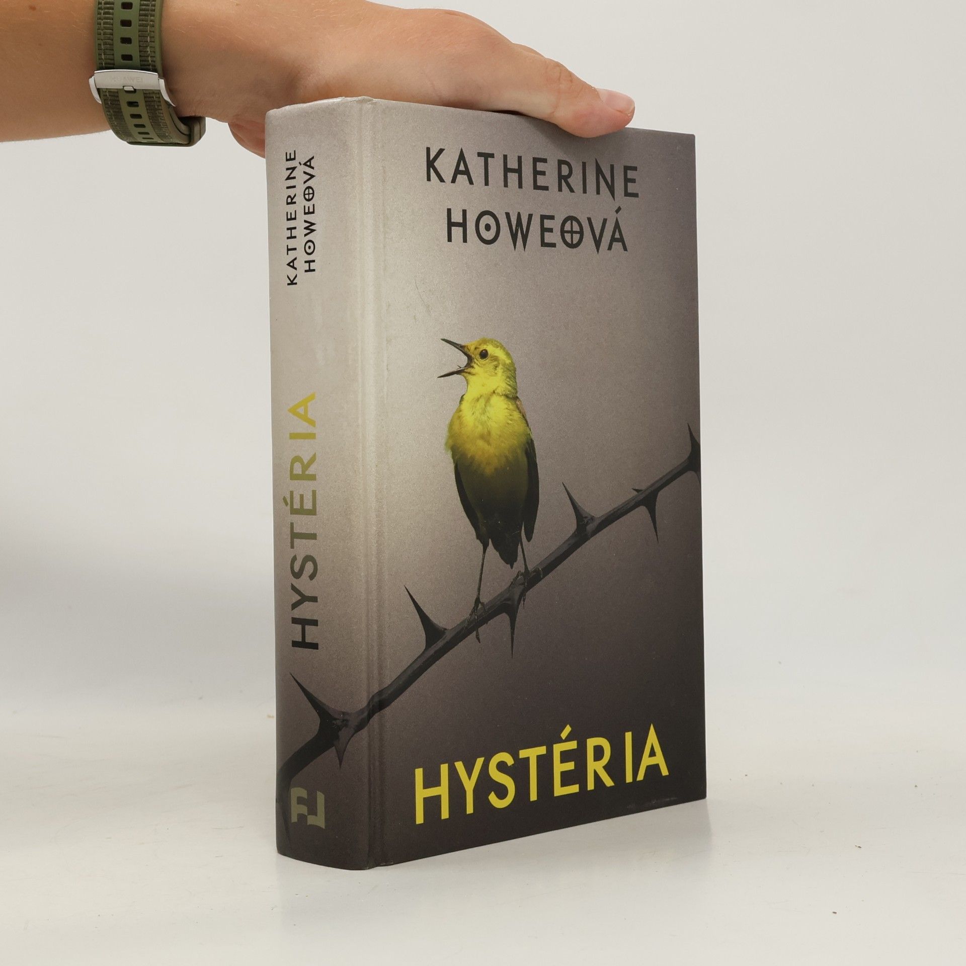 Katherine Howe Hystéria