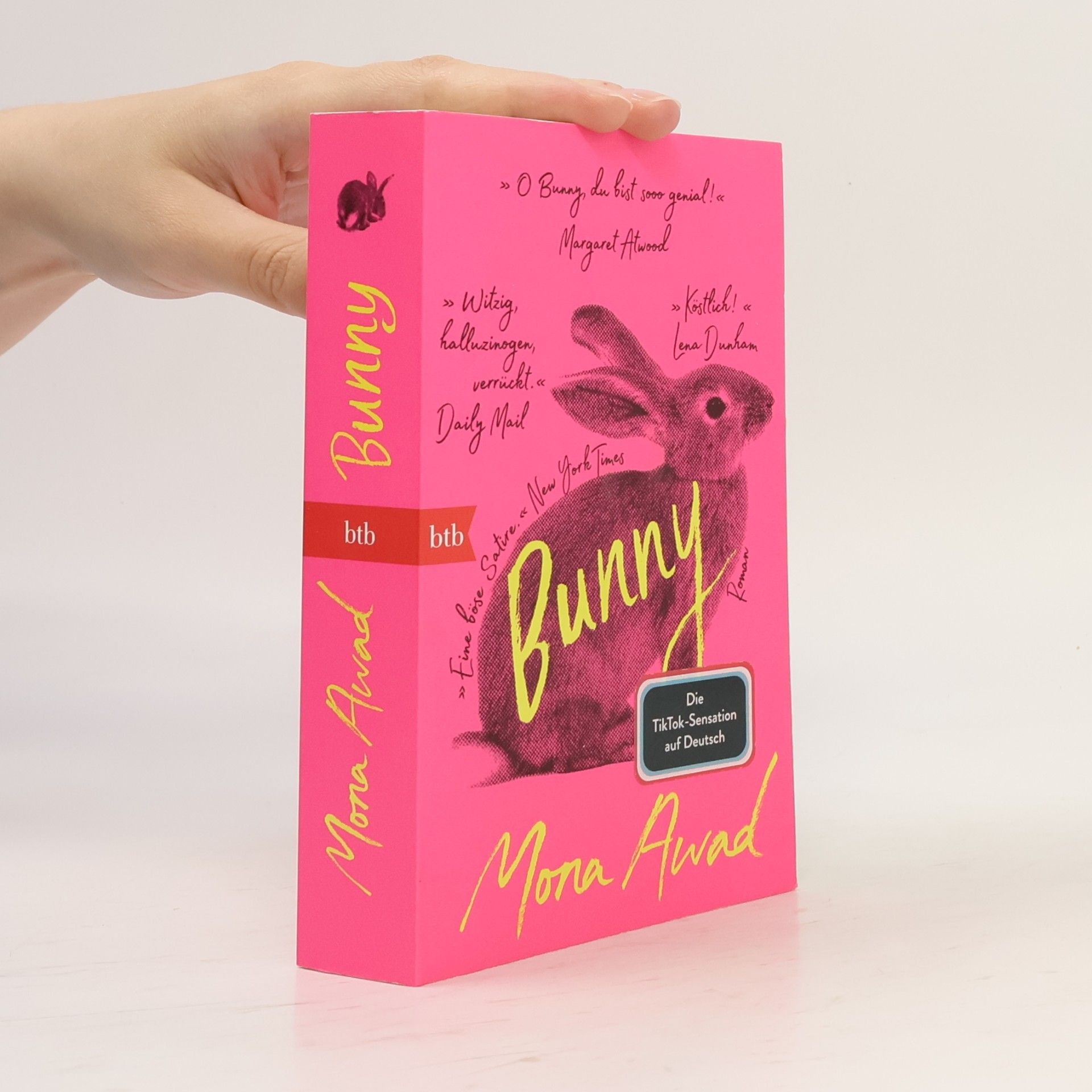 Mona Awad Bunny