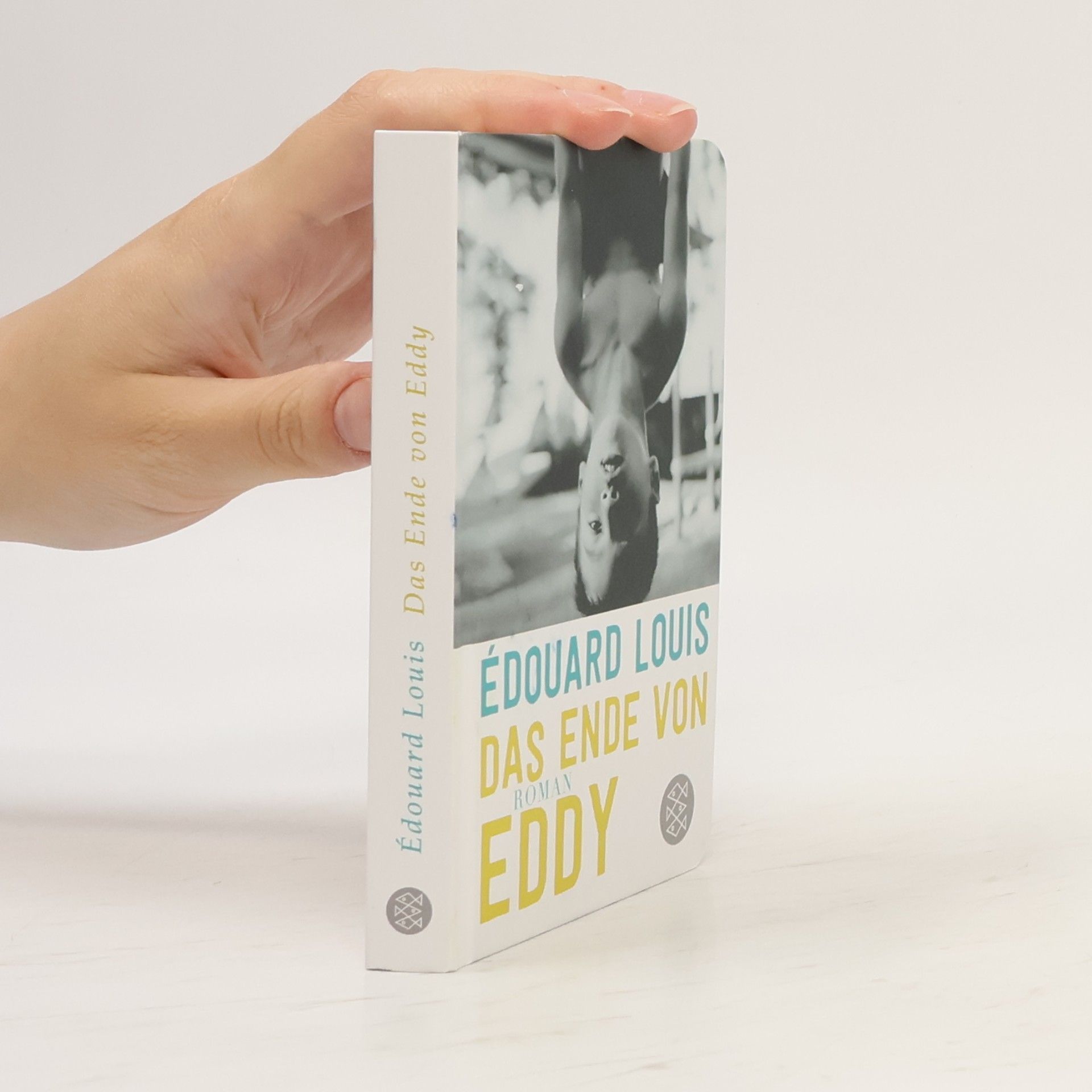 Édouard Louis Das Ende von Eddy