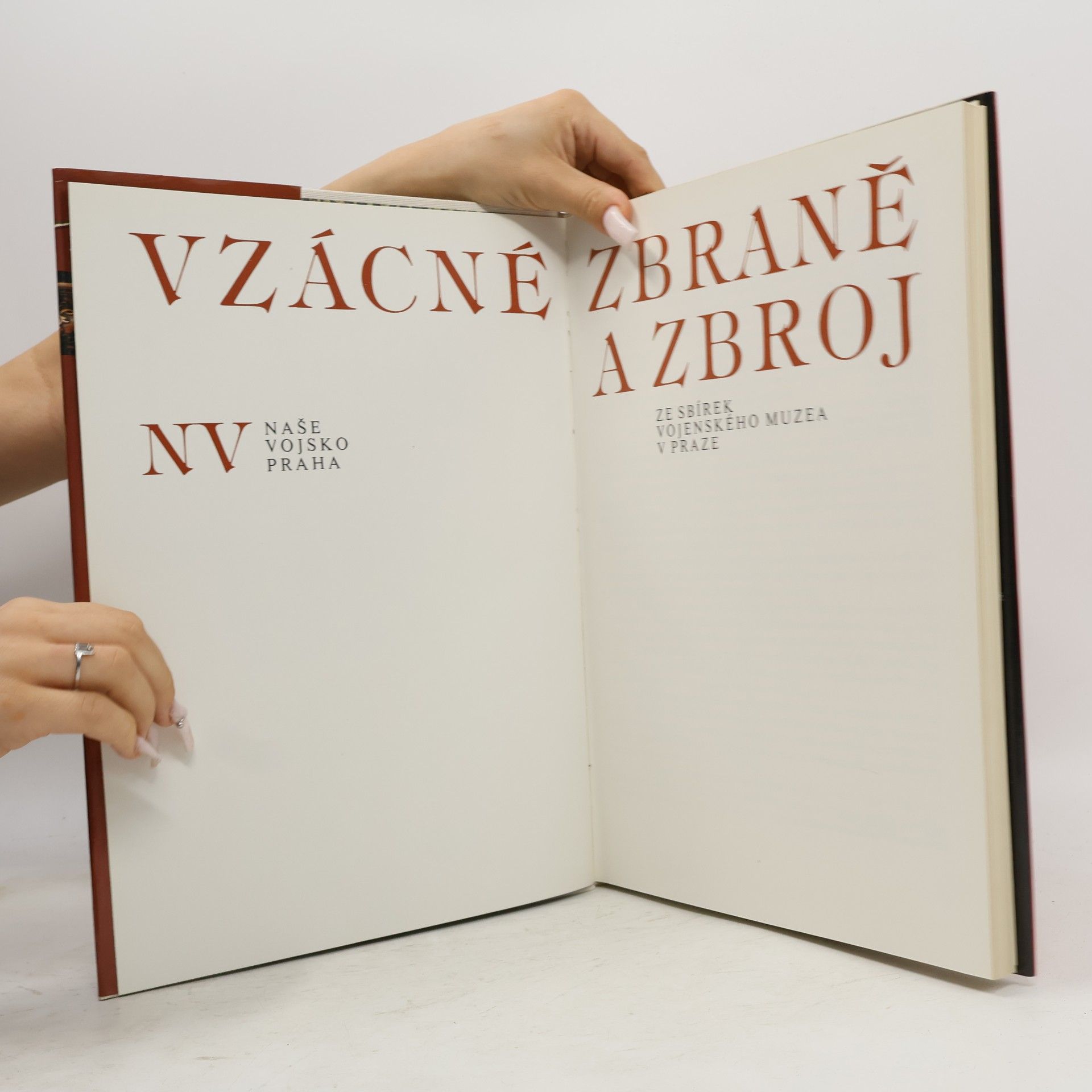 Kolektiv autorů Vzácné zbraně a zbroj