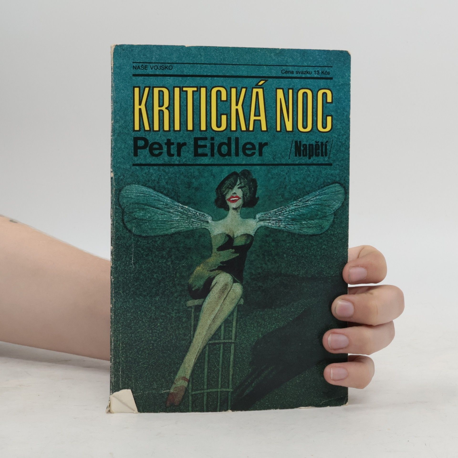 Petr Eidler Kritická noc