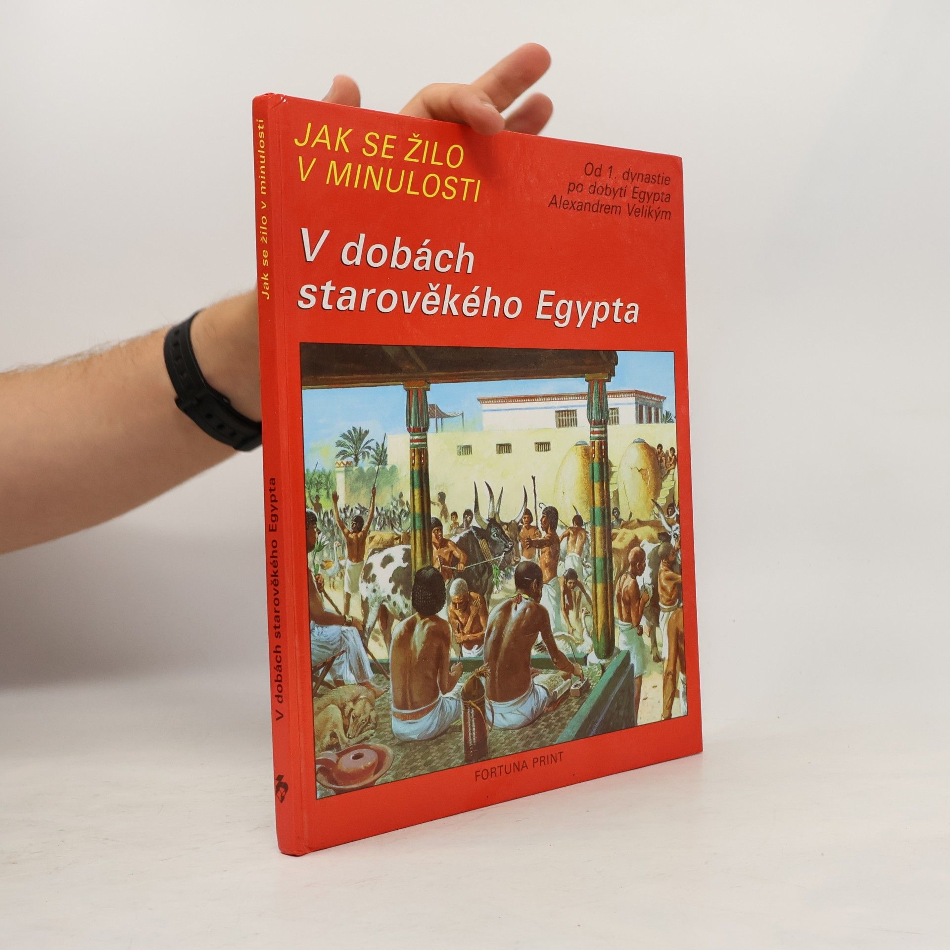 Pierre Miquel Jak se žilo v minulosti. V dobách starověkého Egypta