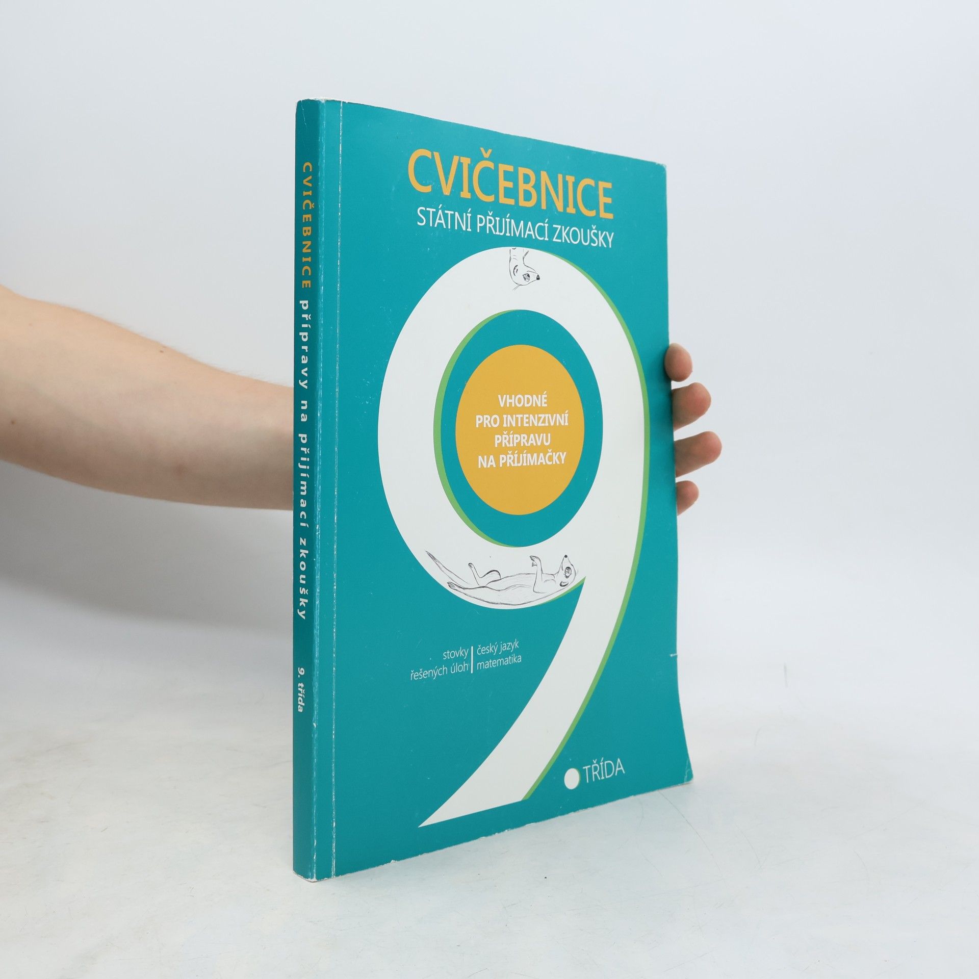 Autorenkollektiv Cvičebnice 9 - státní přijímací zkoušky