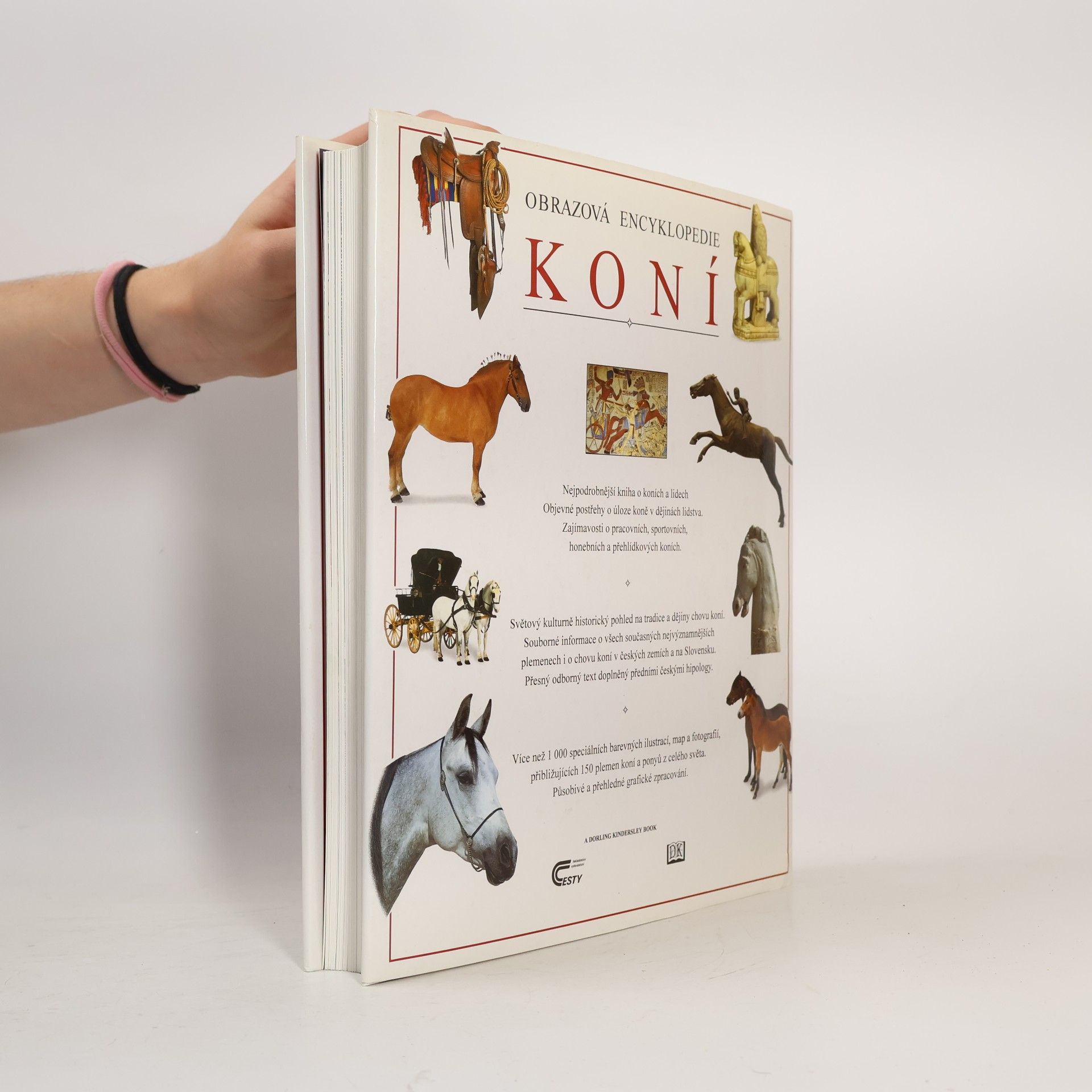 kolektiv Obrazová encyklopedie koní