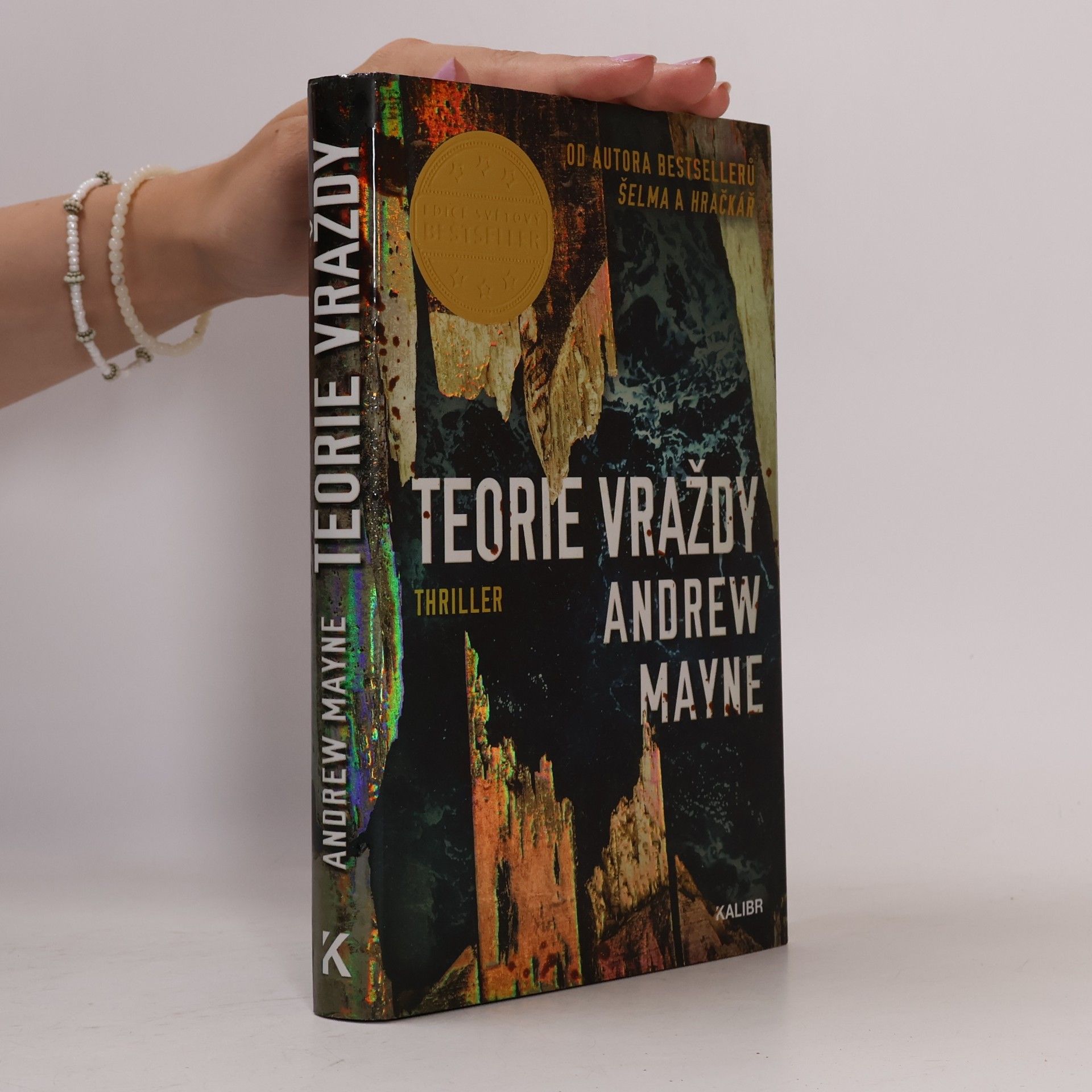 Andrew Mayne Teorie vraždy