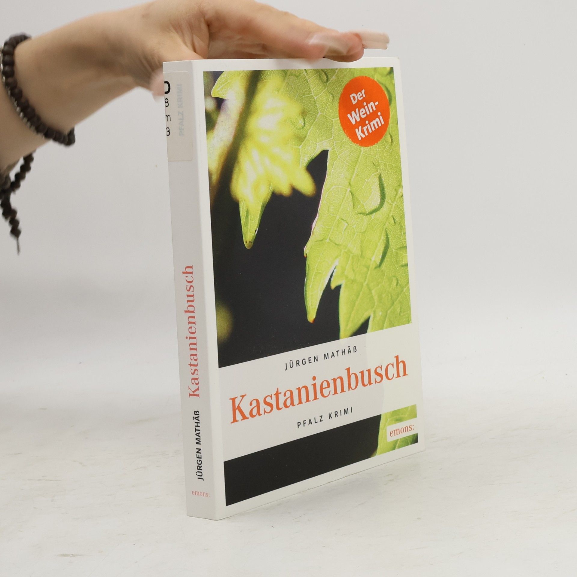 Jürgen Mathäß Kastanienbusch