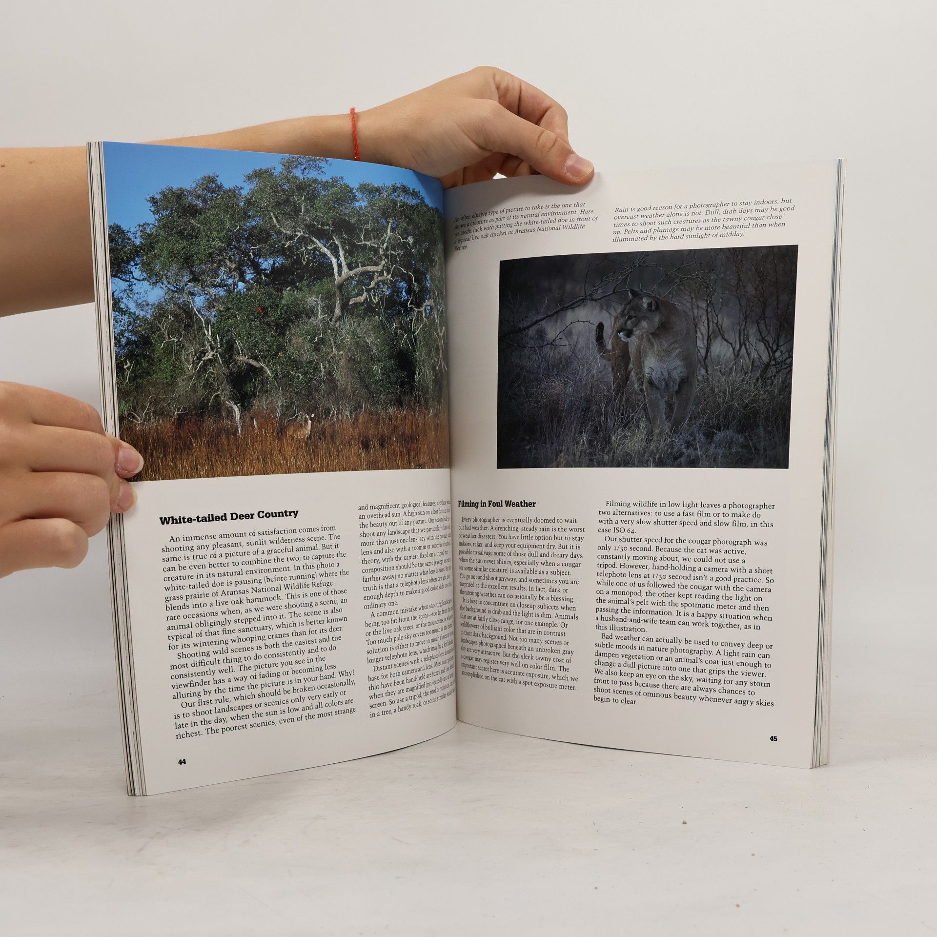 Erwin A. Bauer Photographing Wild Texas