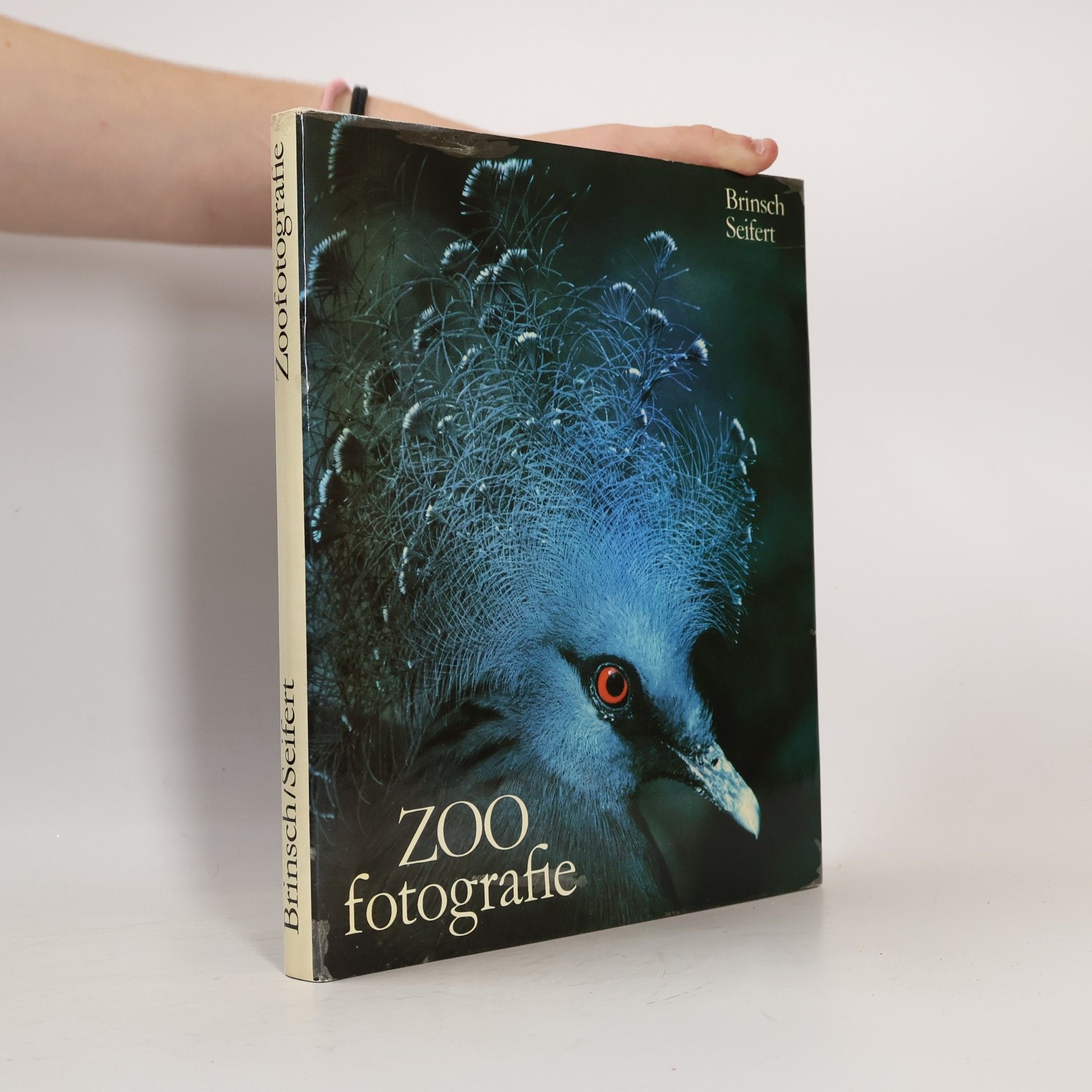 Roland Brinsch ZOO Fotografie