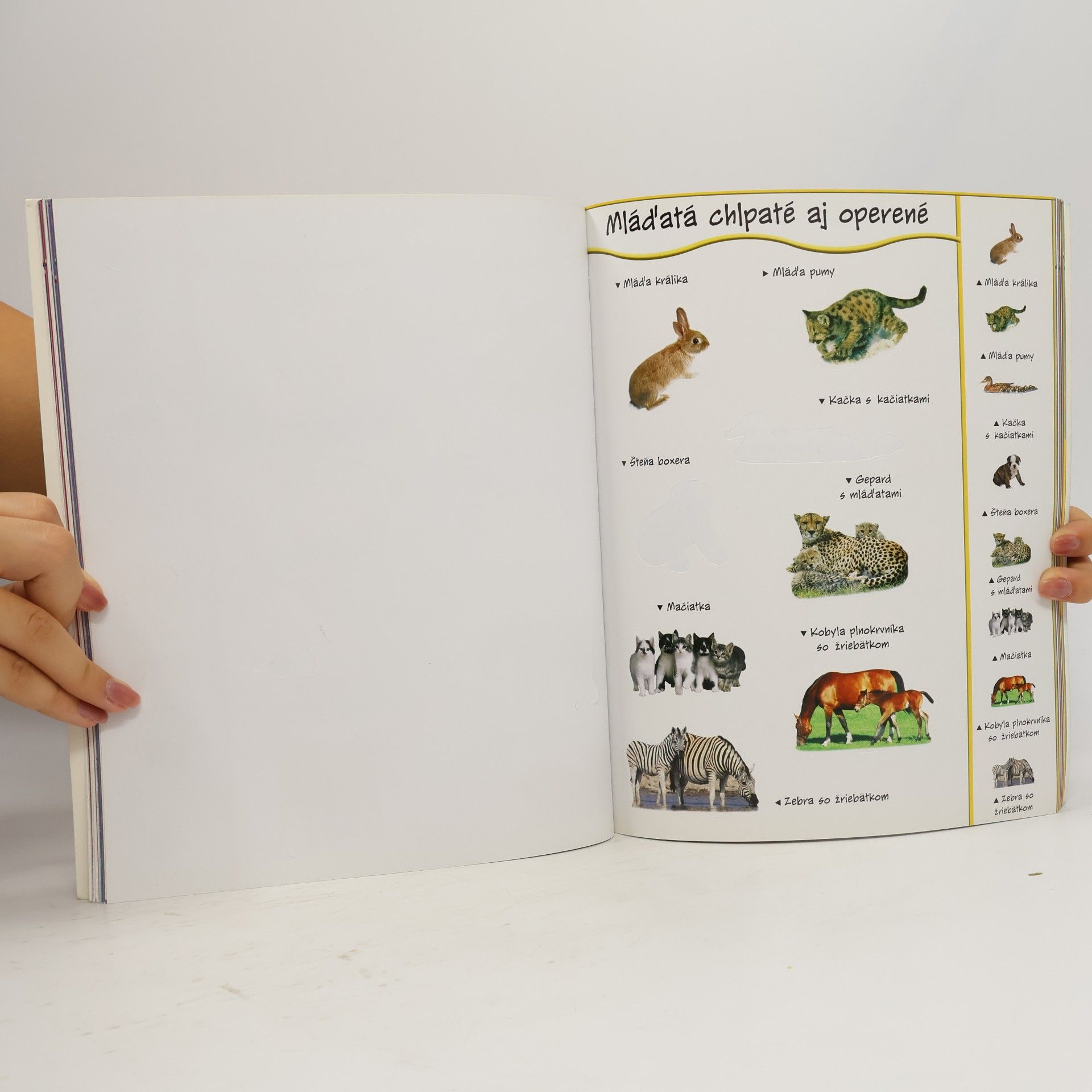 Collectif d'auteurs Svět zvířat
