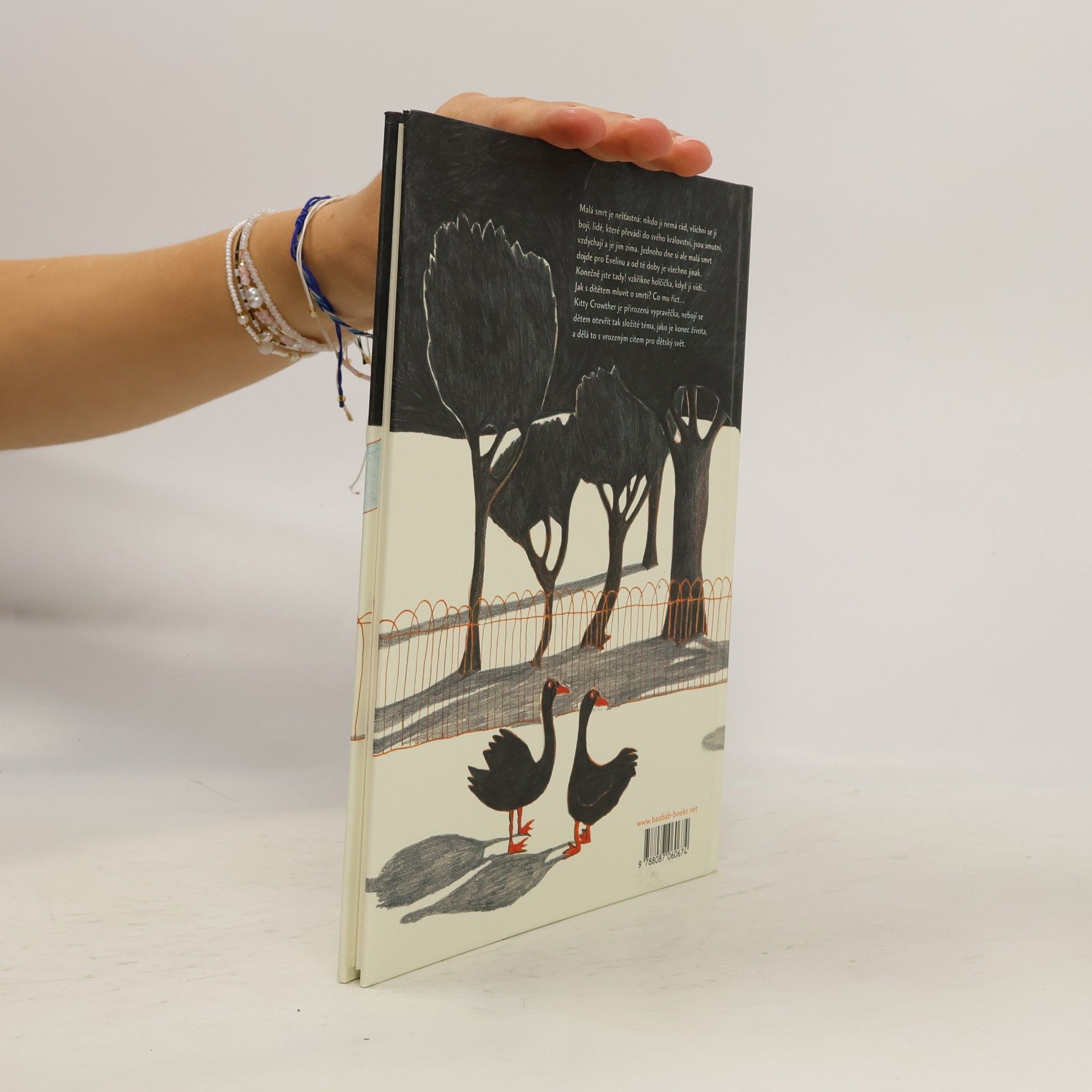 Kitty Crowther Návštěva malé smrti