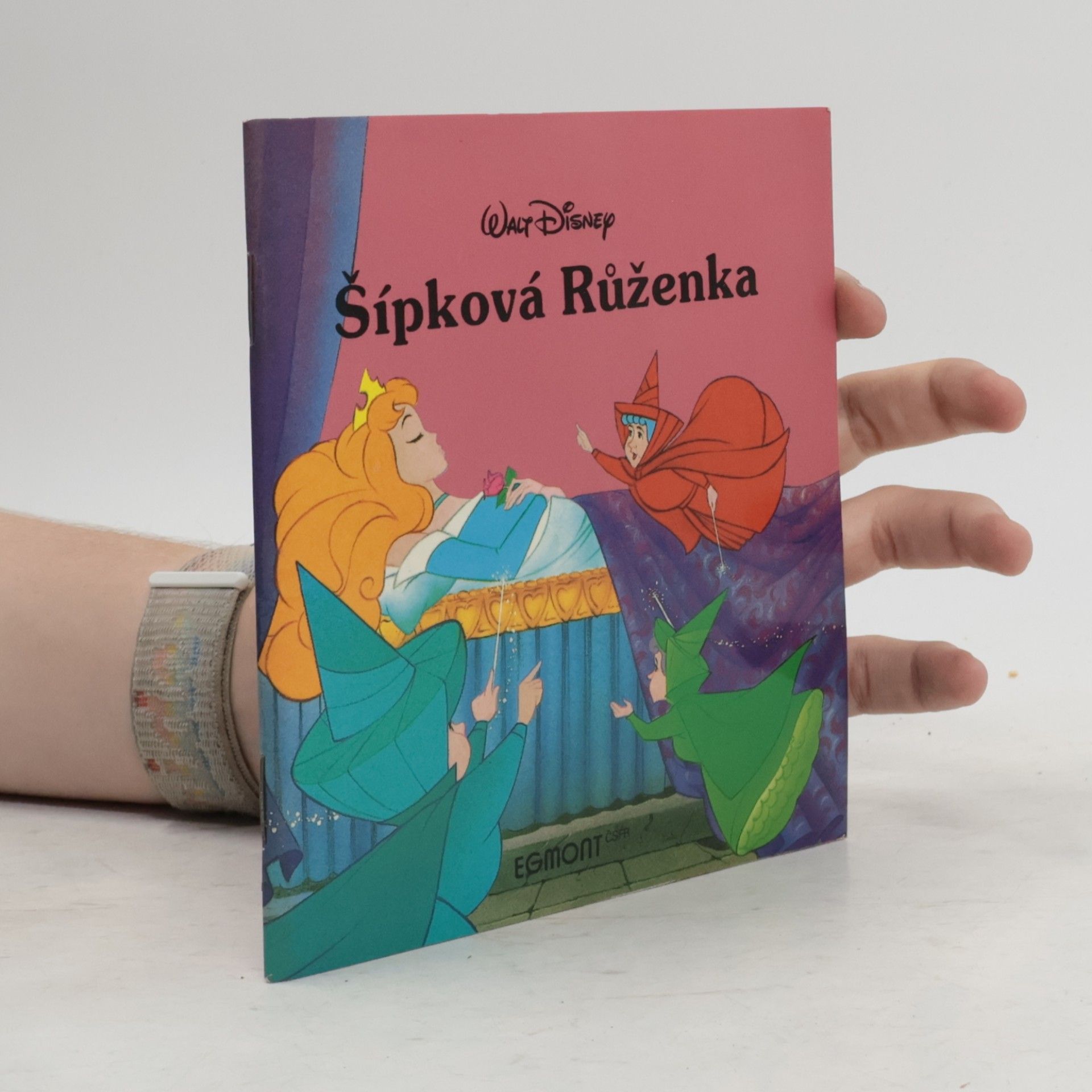 Walt Disney Šípková Růženka