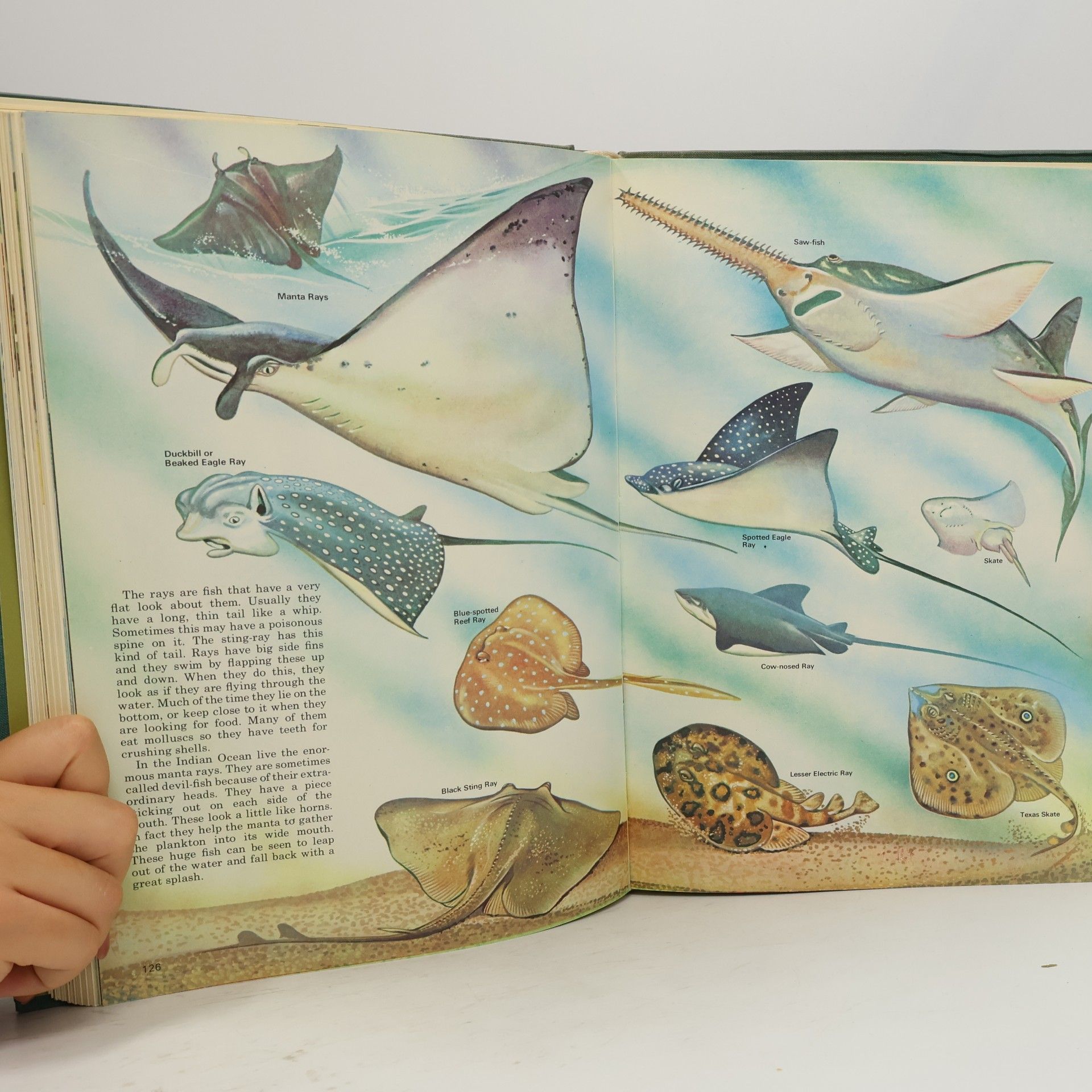 Leonard Moore Junior Encyclopaedia of Nature