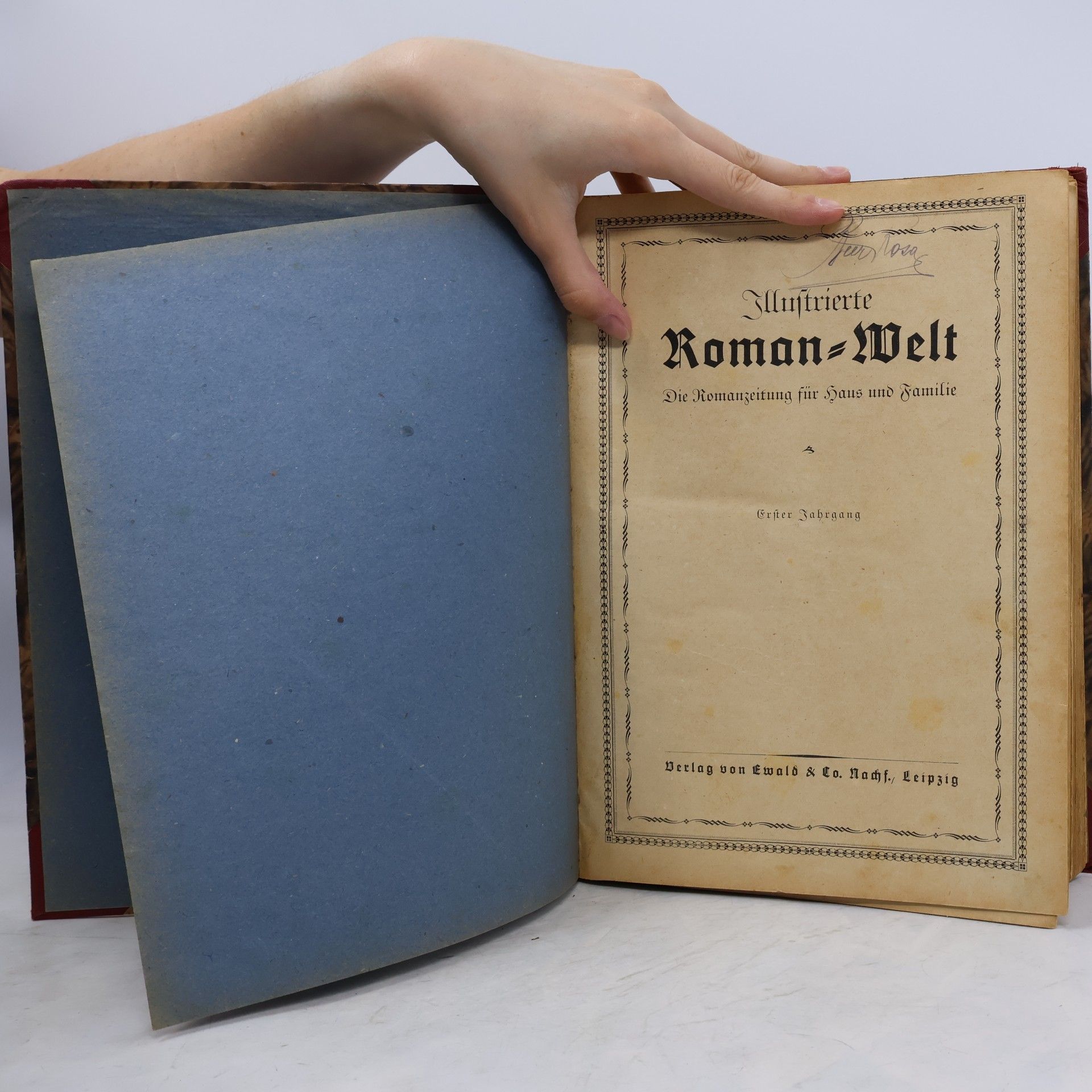 Autorenkollektiv Illustrierte Roman Welt