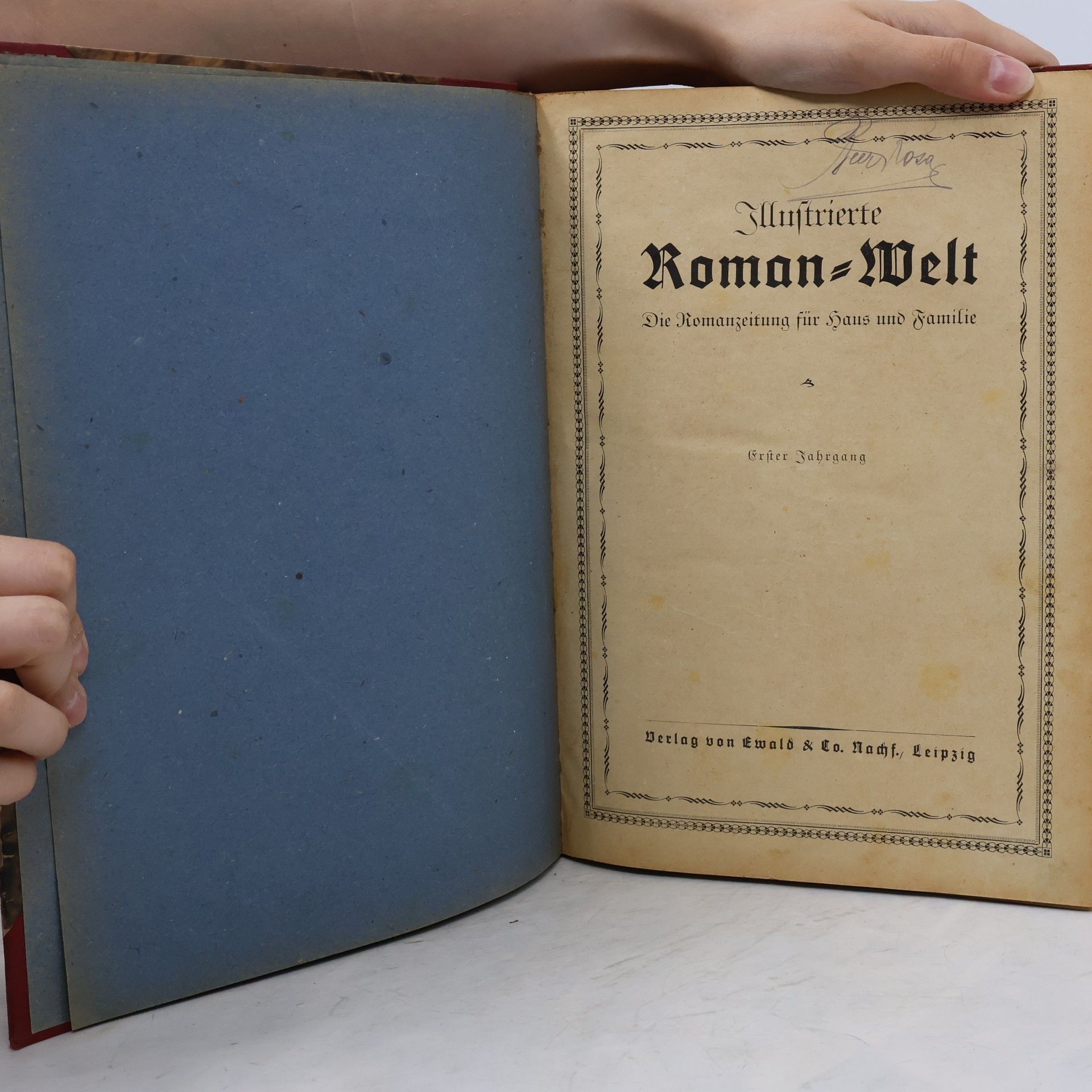 Autorenkollektiv Illustrierte Roman Welt