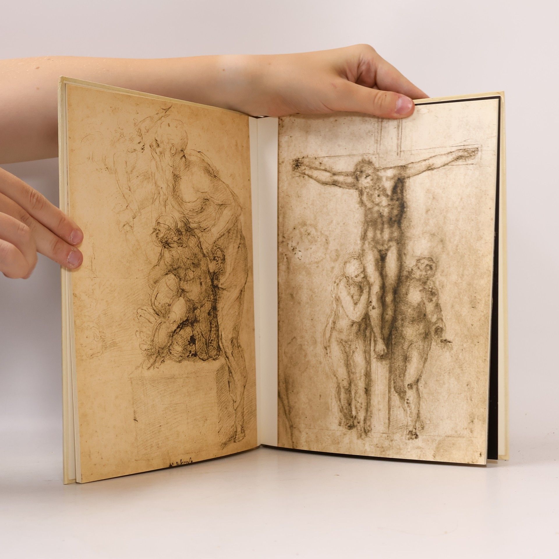 Collectif d'auteurs Michelangelo