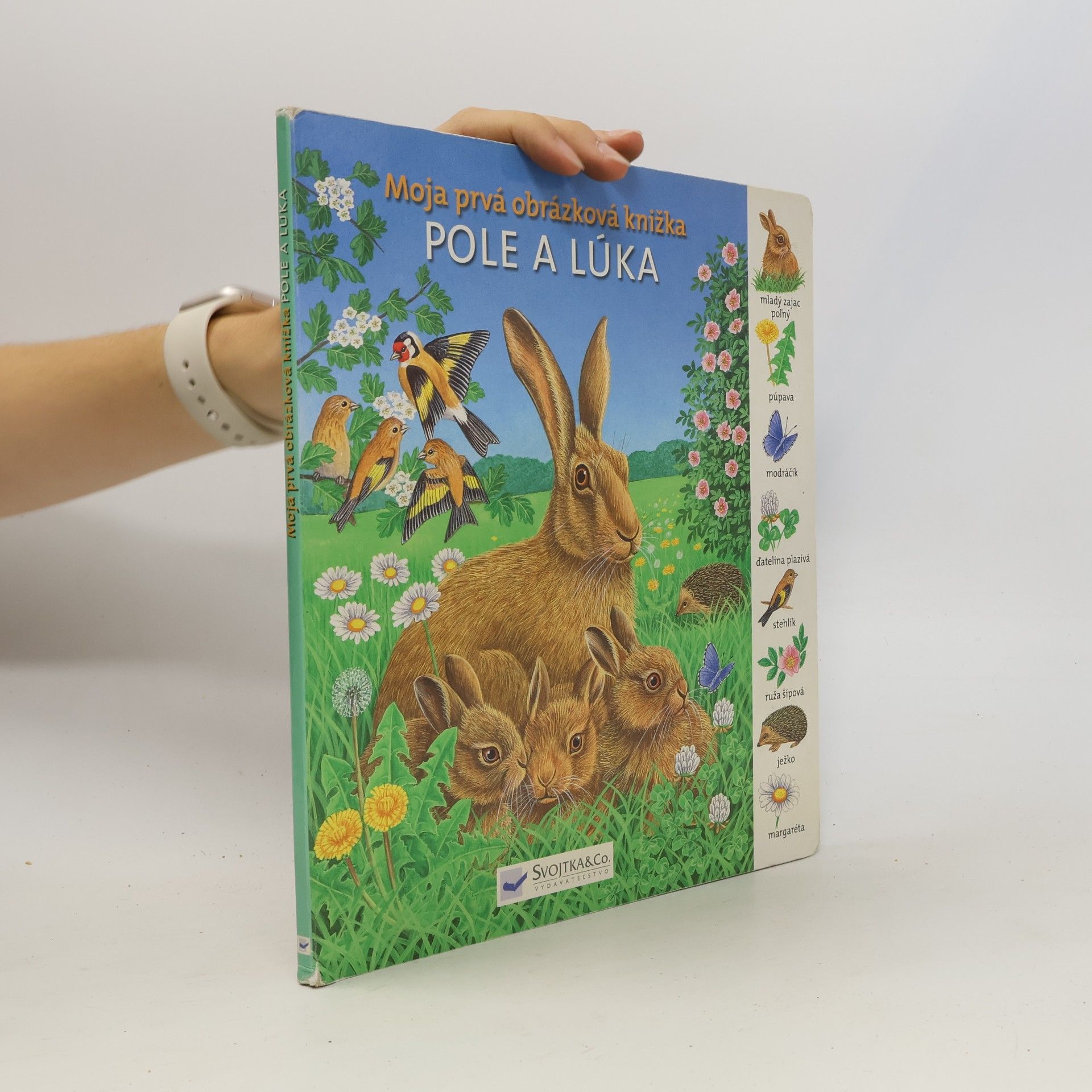 AA.VV. Moja prvá obrázková knižka - Pole a lúka