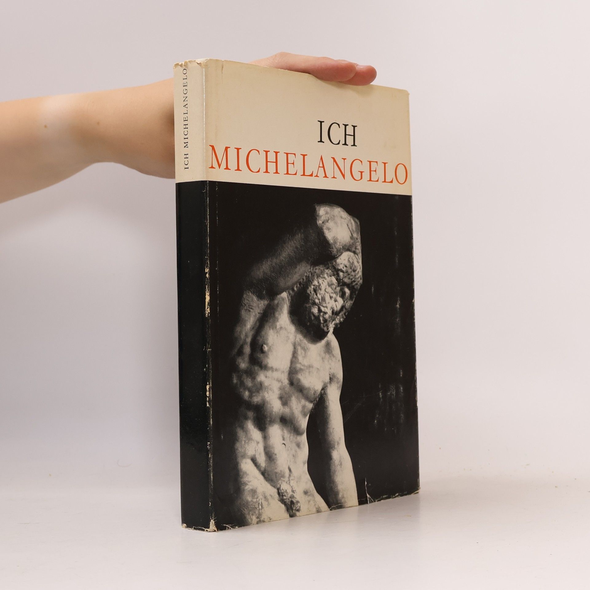 Kolektiv autorů Ich Michelangelo