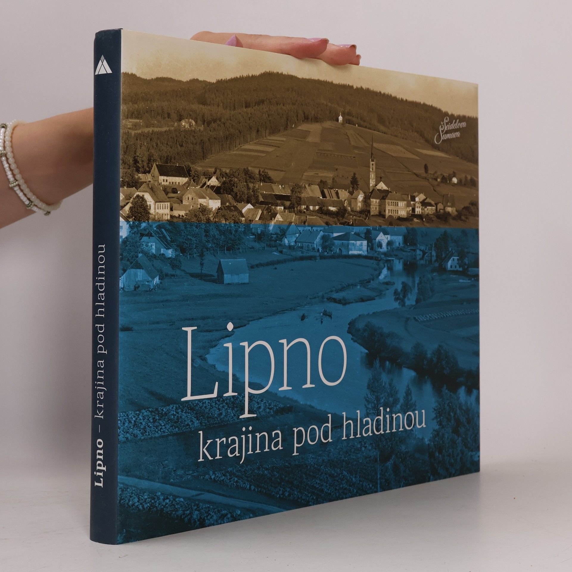 Petr Hudičák Lipno - krajina pod hladinou