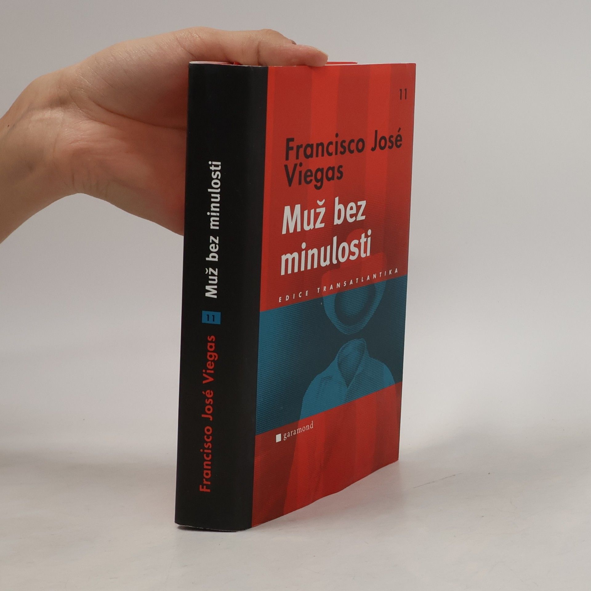 Francisco José Viegas Muž bez minulosti