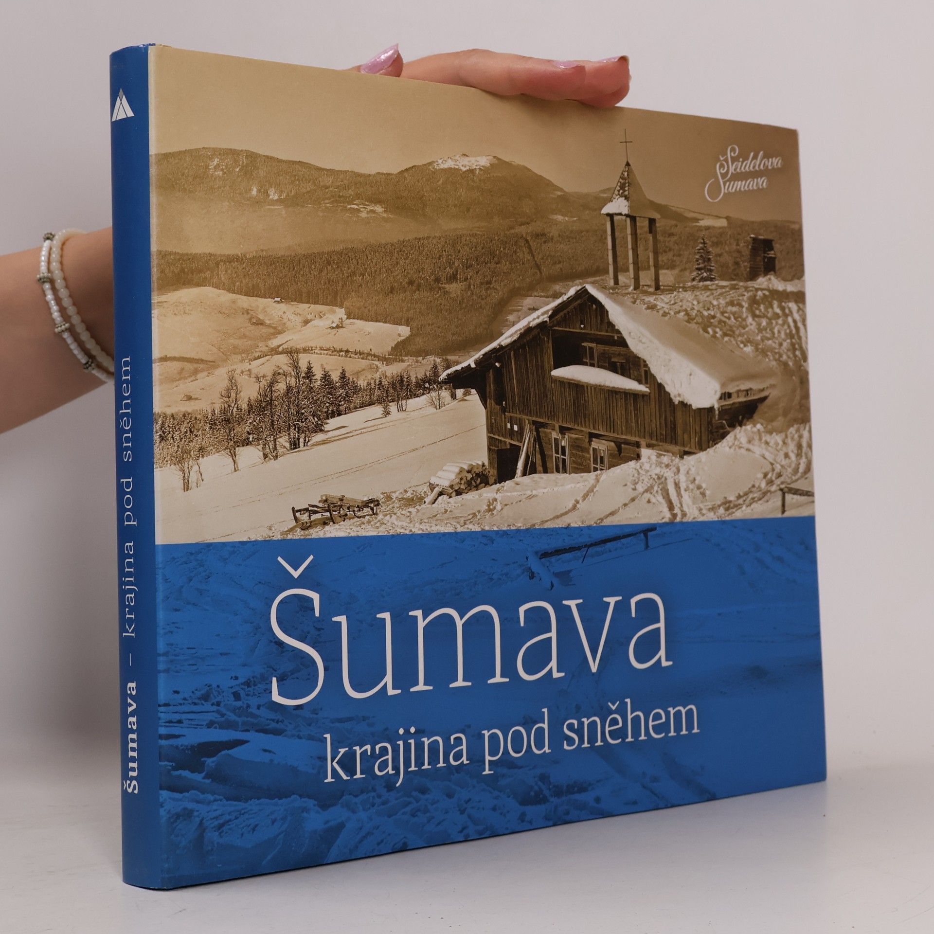 Petr Hudičák Šumava - krajina pod sněhem