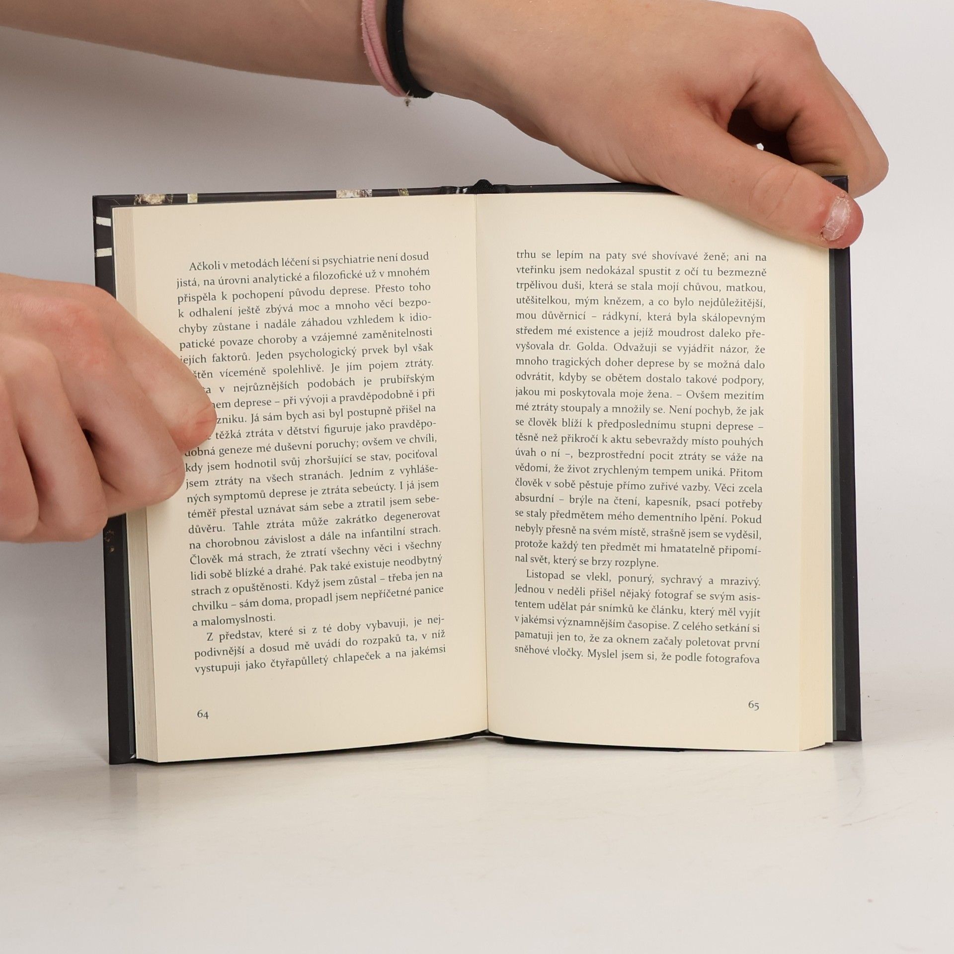 William Styron Viditelná temnota: Paměti šílenství