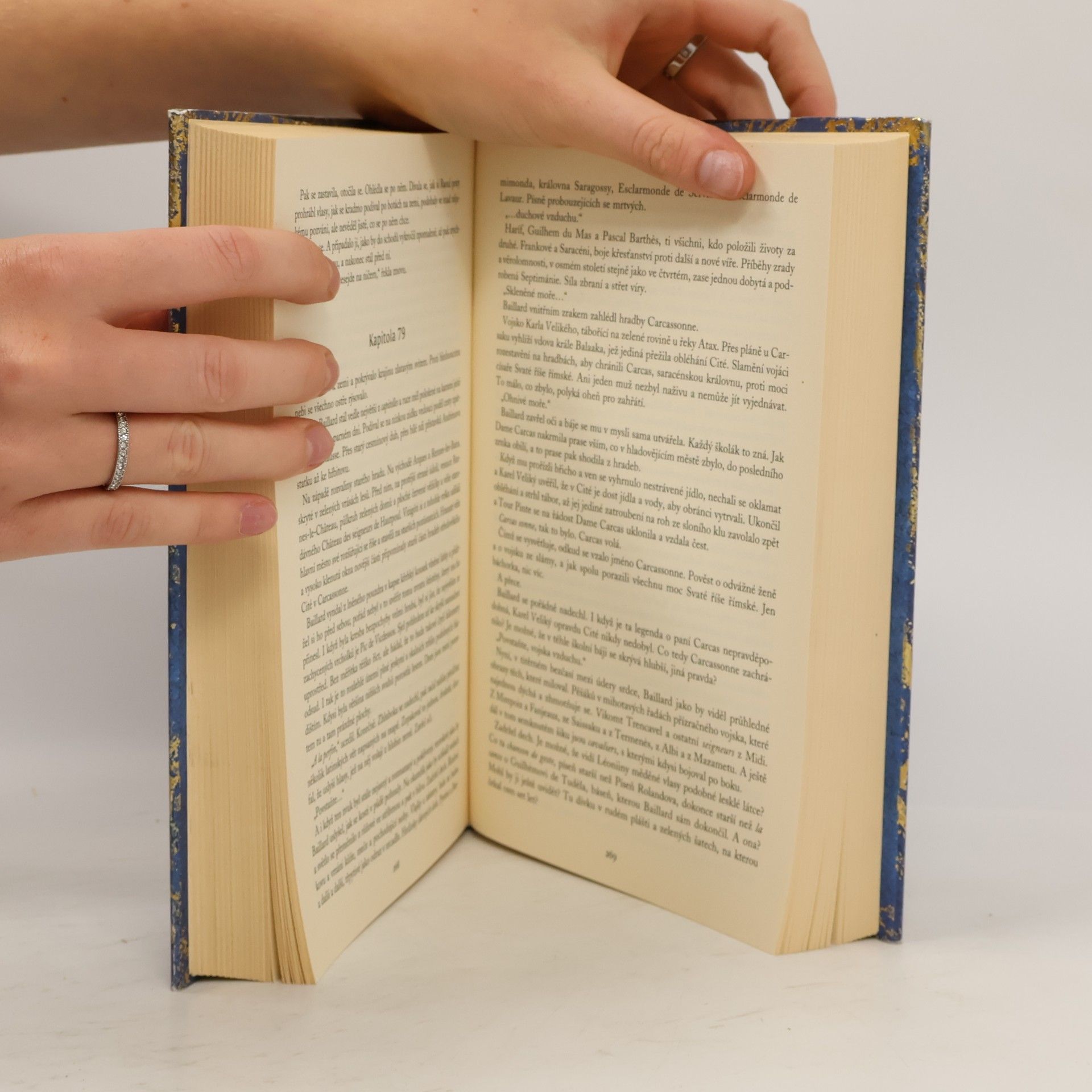 Kate Mosse Citadela